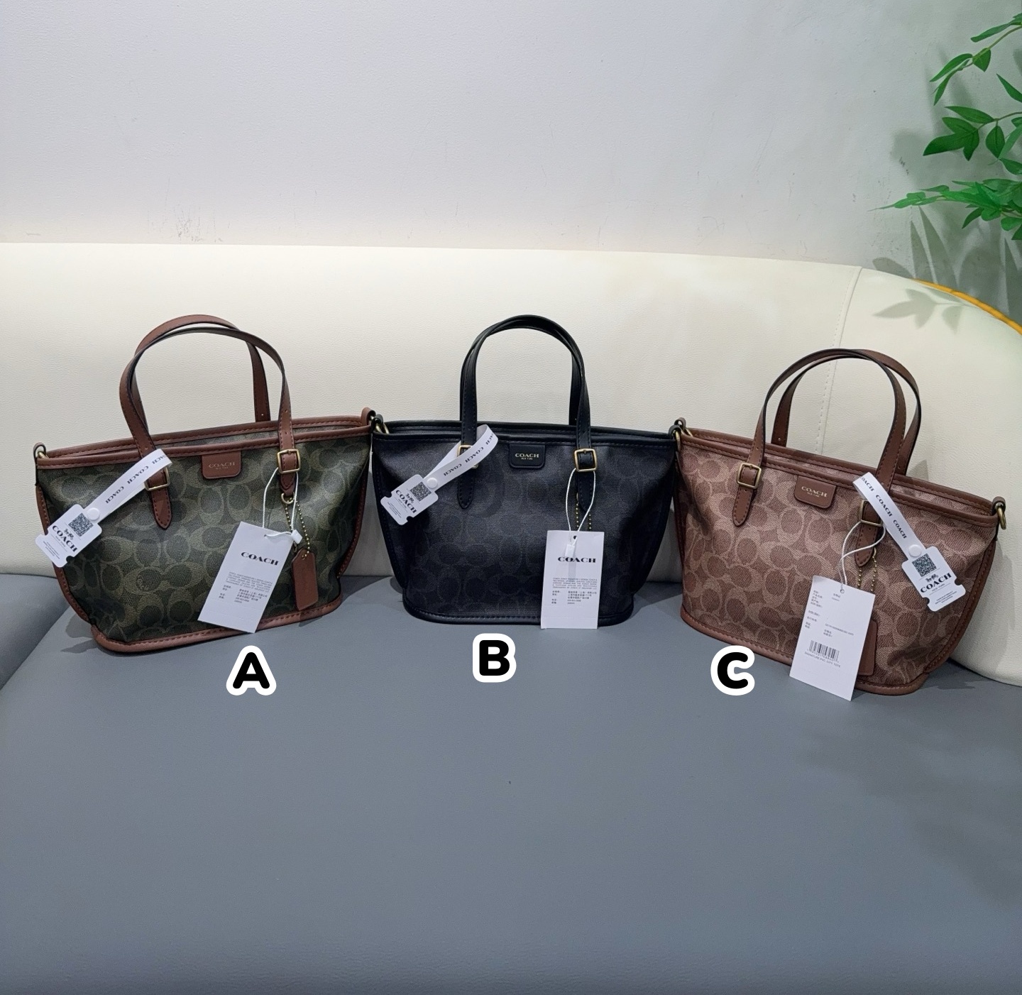 0215 COACH Taxi 小號牛皮tote bag 3月中