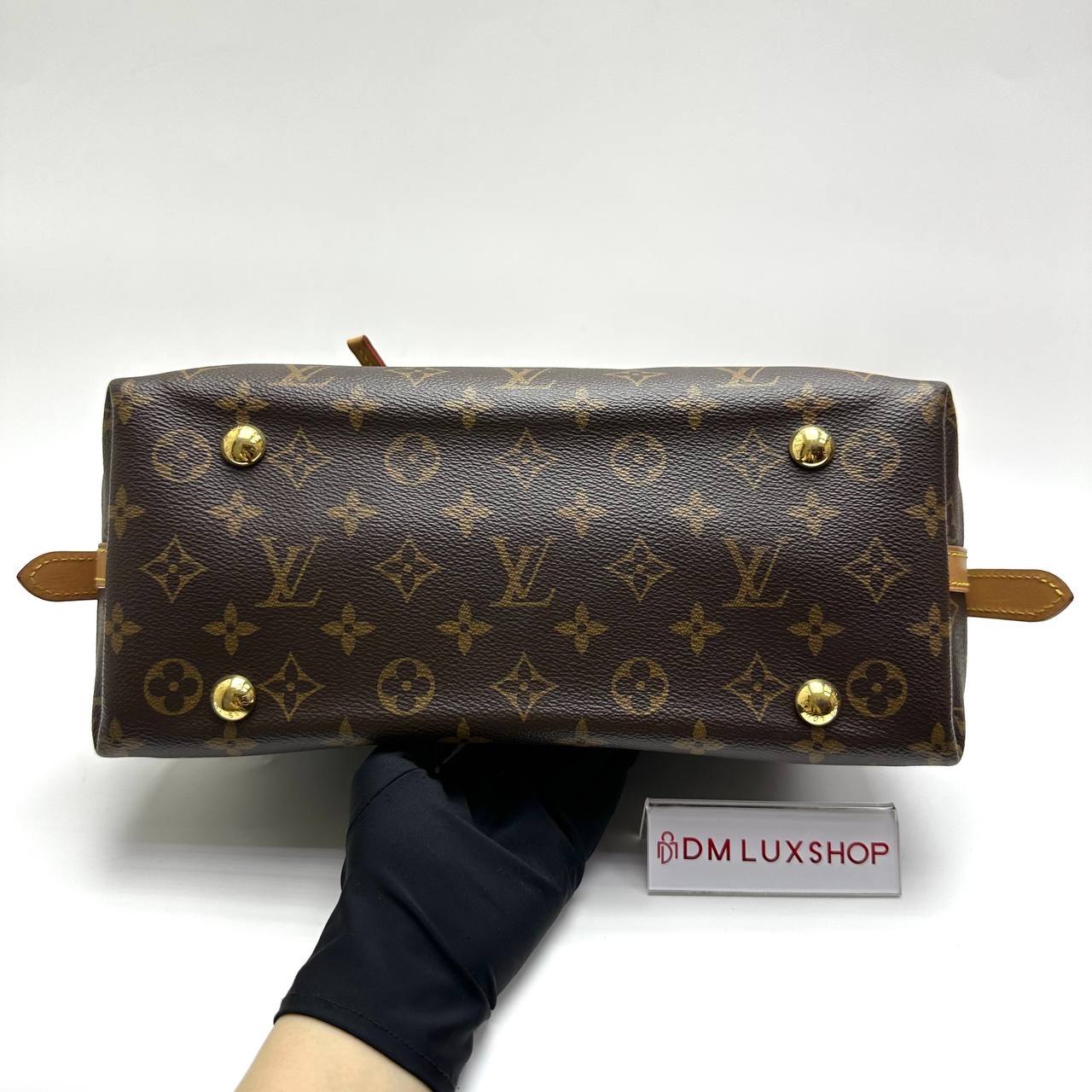 LV Monogram CarryAll PM