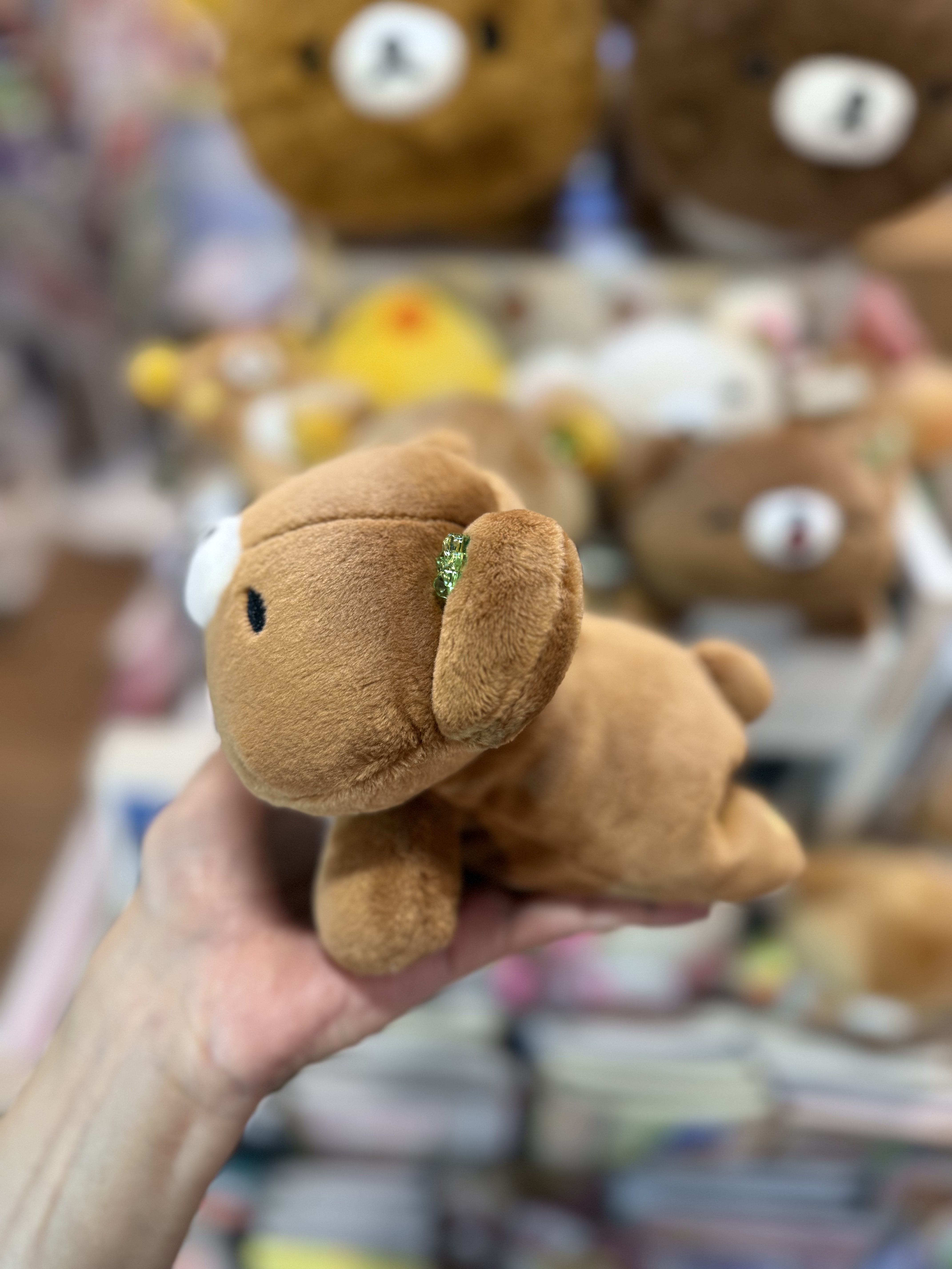 《現貨》全新小熊10週年紀念四葉草系列趴地公仔