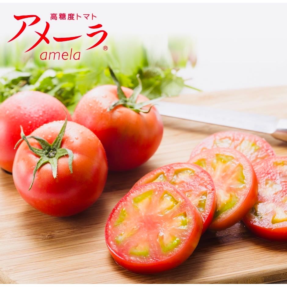 💧日本 長野高糖度番茄 Japan Amela Super Sweet Tomatoes