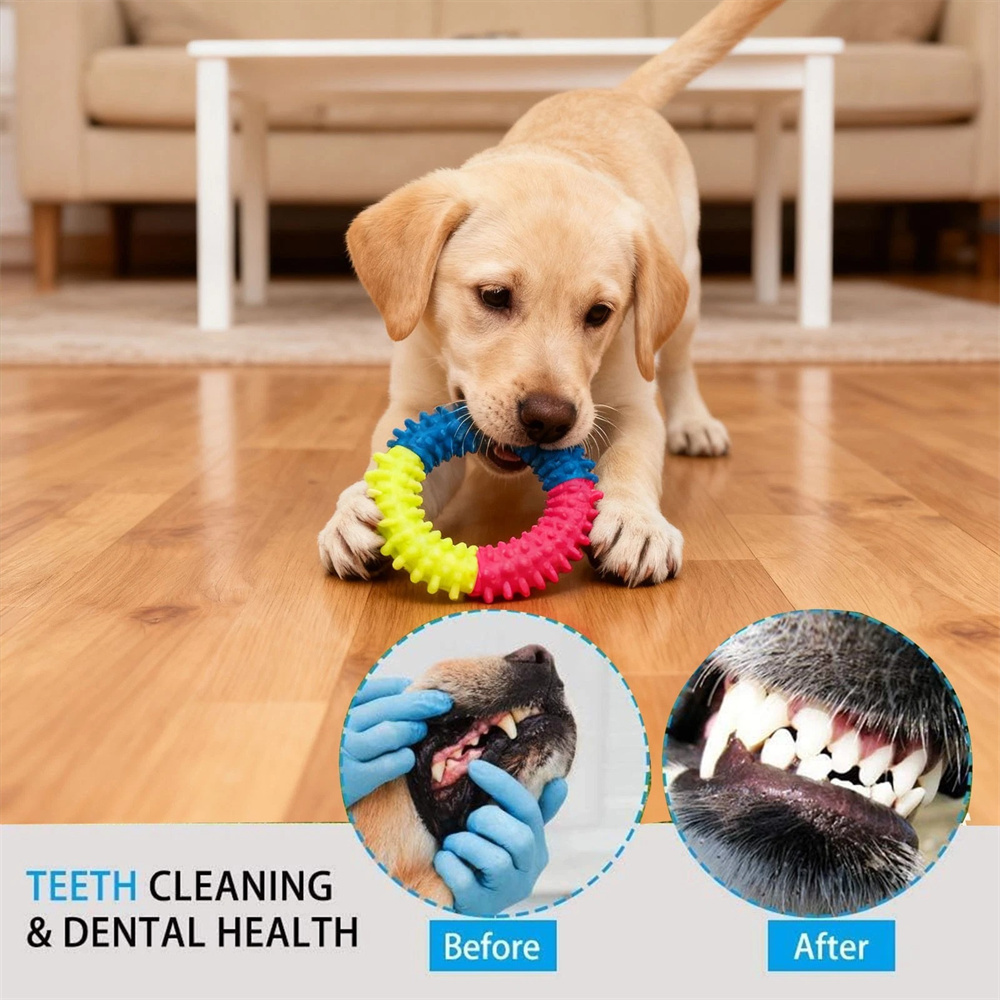 狗狗咬繩磨牙玩具 10件套 顏色款式隨機 UB0257