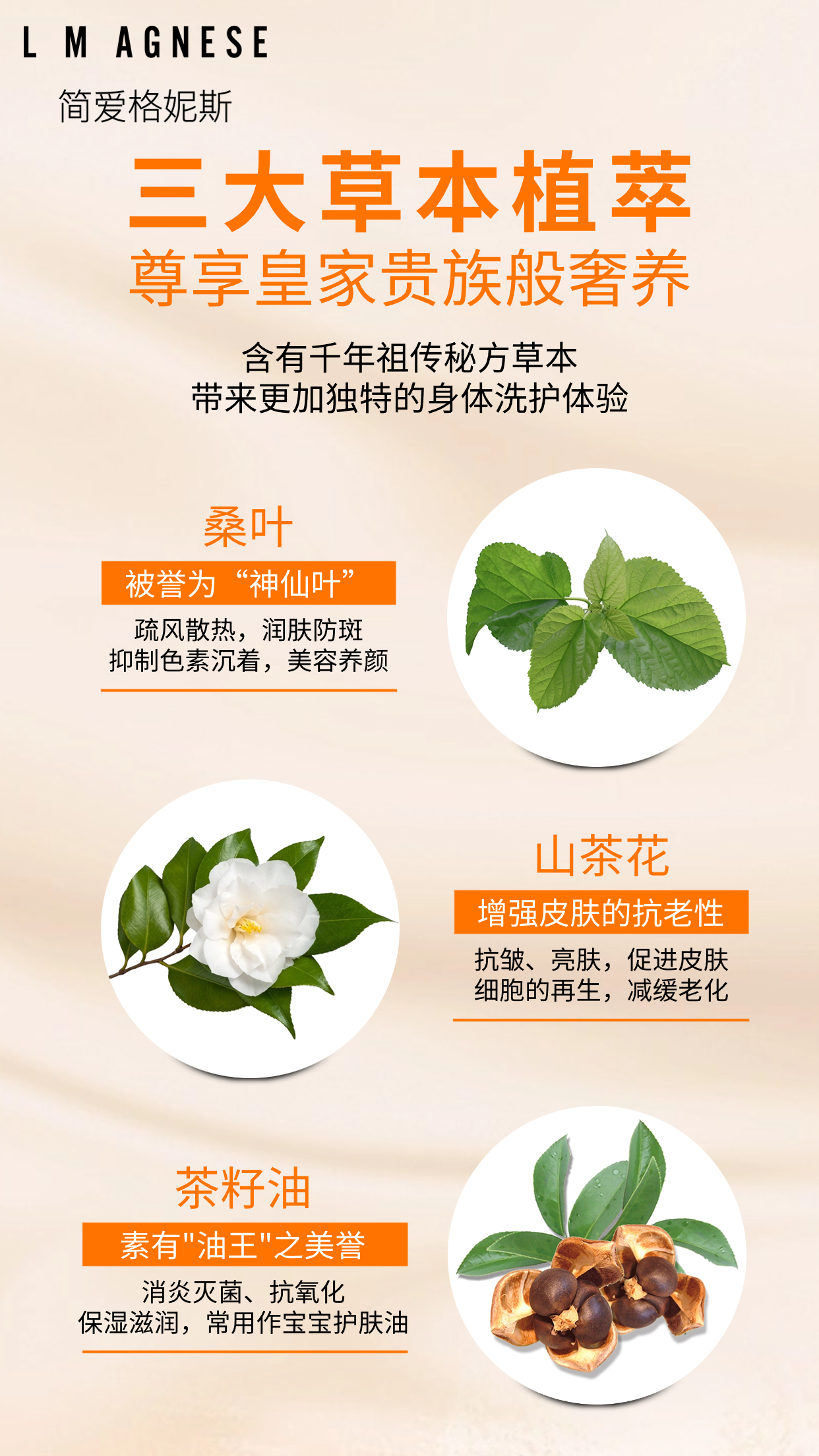 草本沐浴露 Herbal Shower Gel 500mL