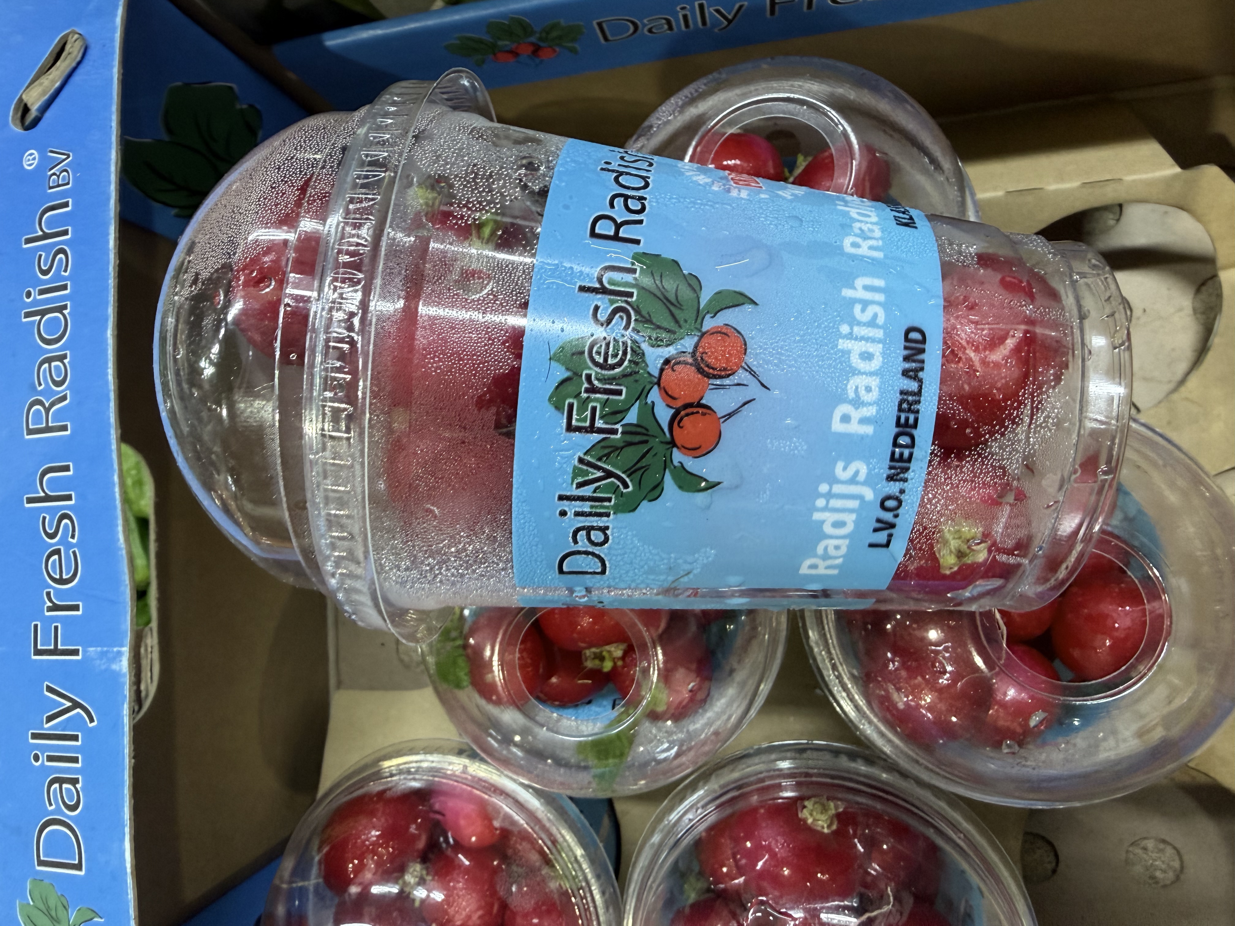 荷蘭 櫻桃蘿蔔 Holland Fresh Radish ±175g