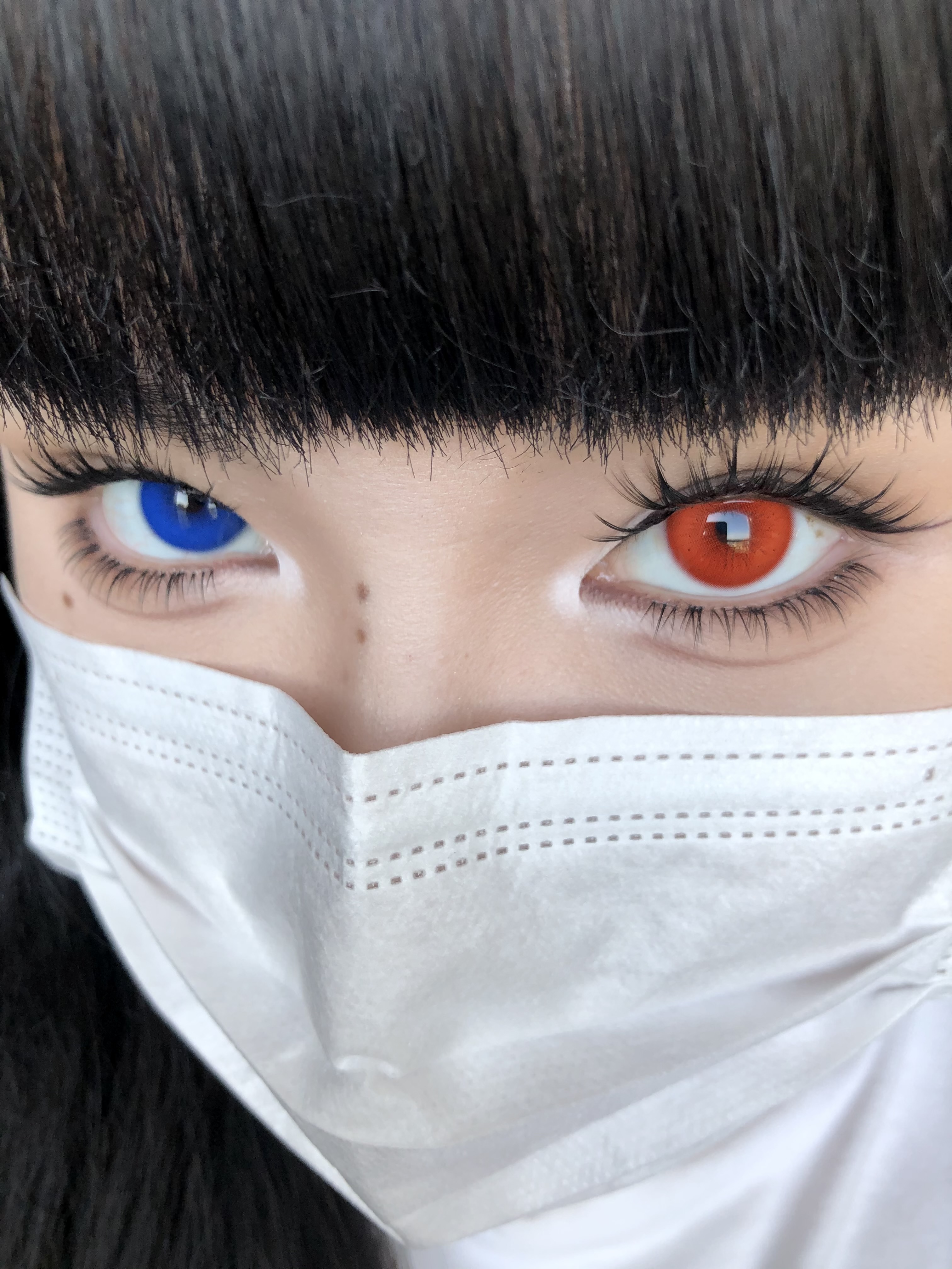 Serltyca 半年拋 調色盤系列