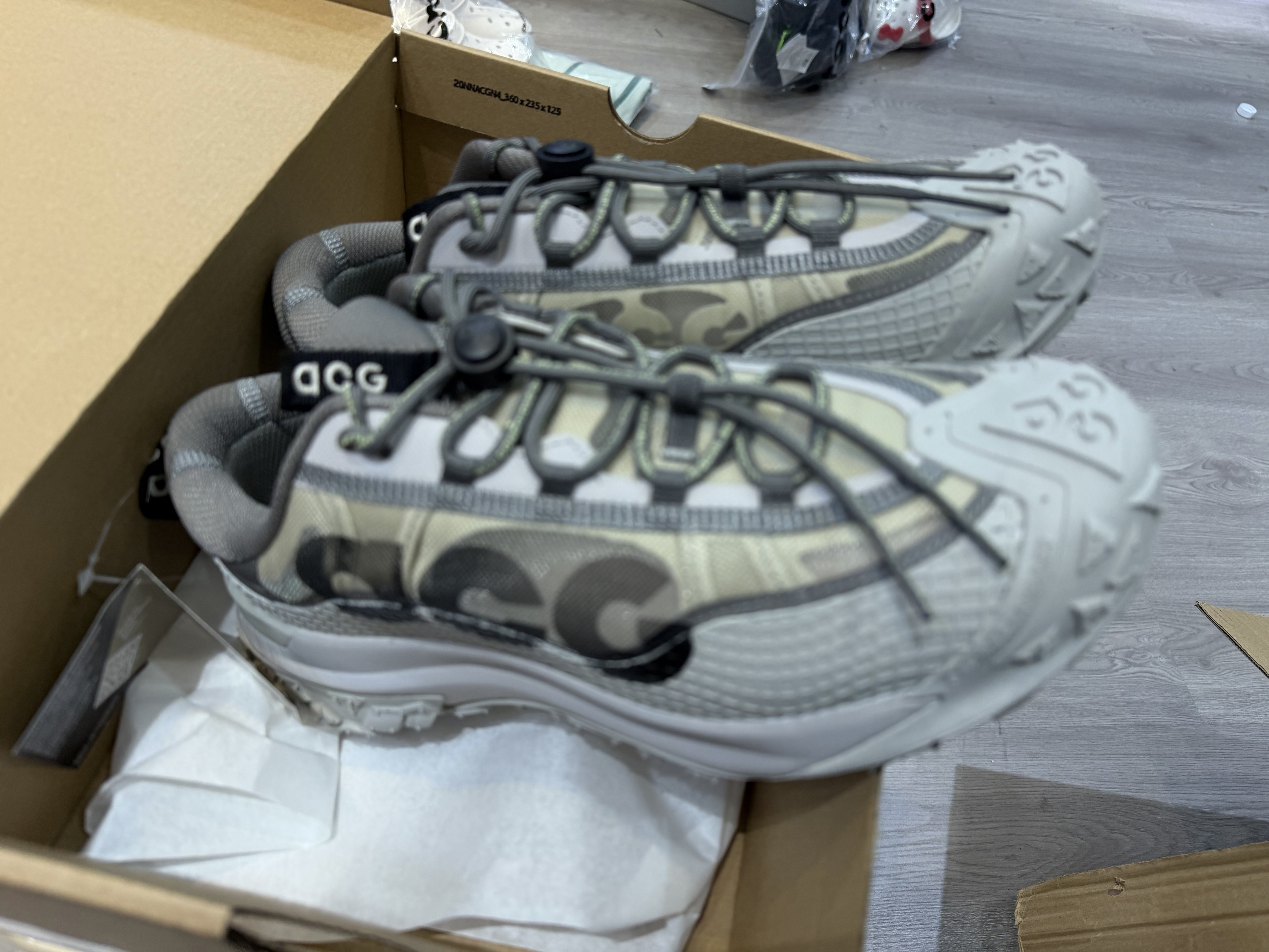 Nike ACG Mountain Fly 2 Low