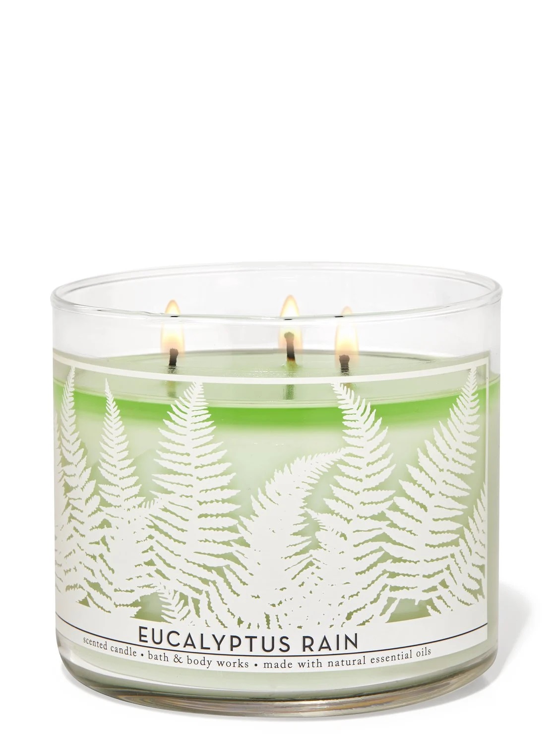 Eucalyptus Rain 3-Wick Candle