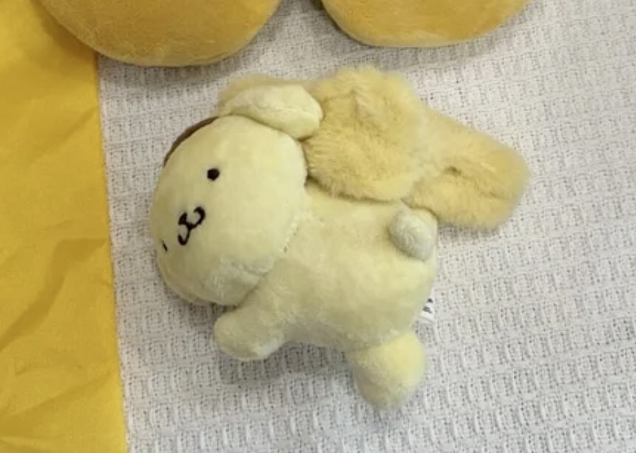 （約5月底到貨）🇹🇼台灣超商限定 布甸狗30周年系列 💕