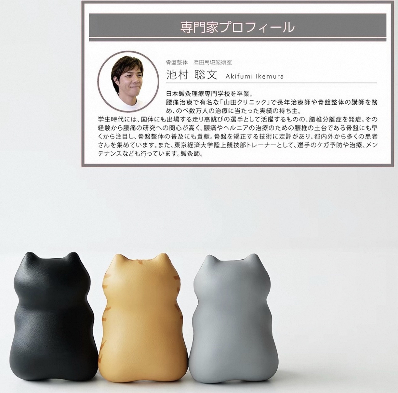 日本進口貓咪肌肉按摩枕