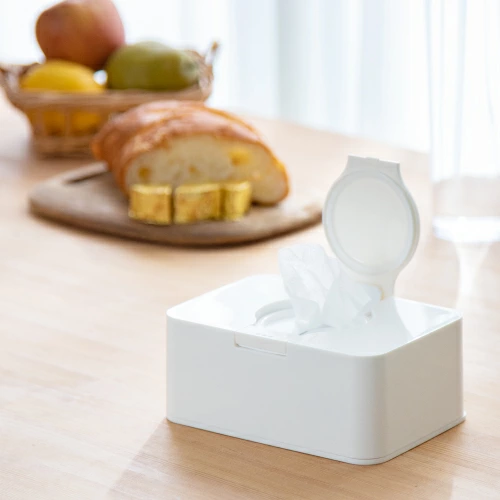 🔥🔥【日本製《TAKEYA》FRESHLOK濕紙巾收納盒】 