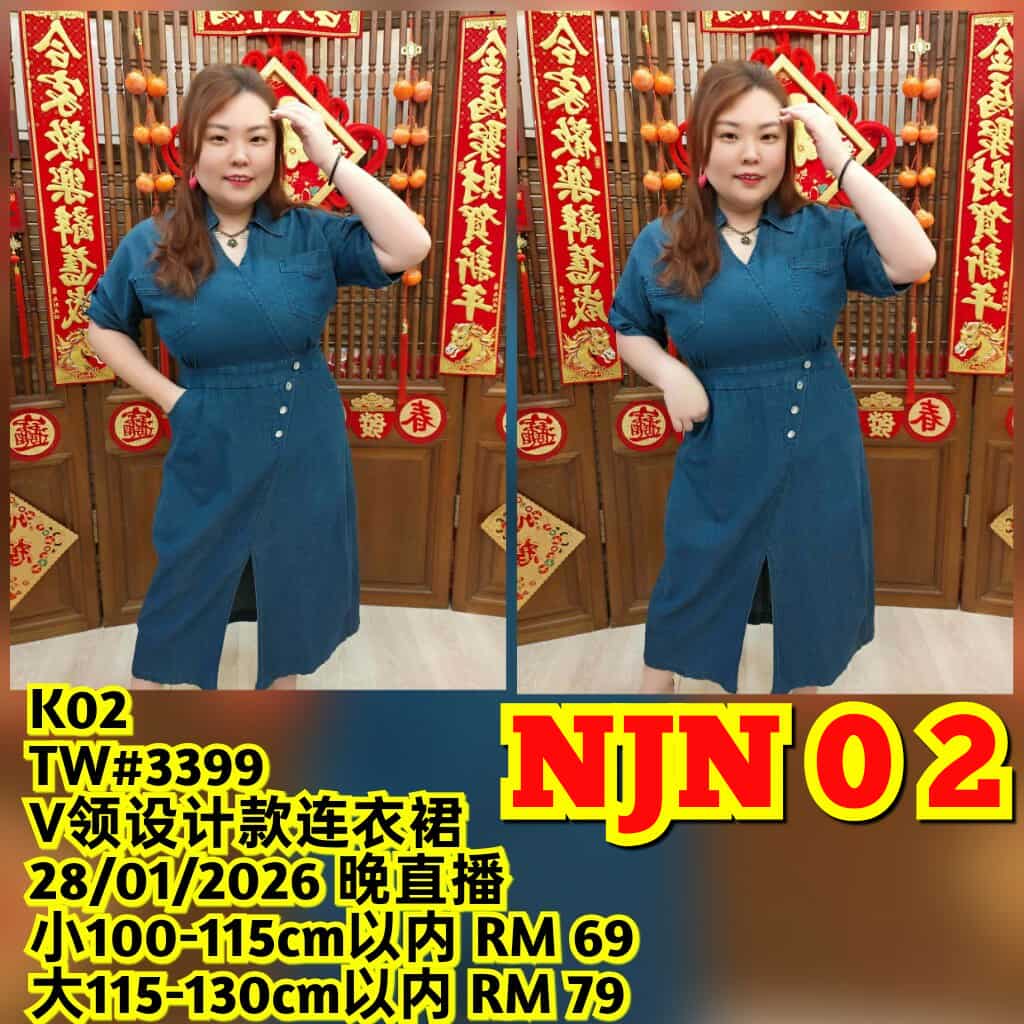 NJN02 TW#3399 V领设计款连衣裙