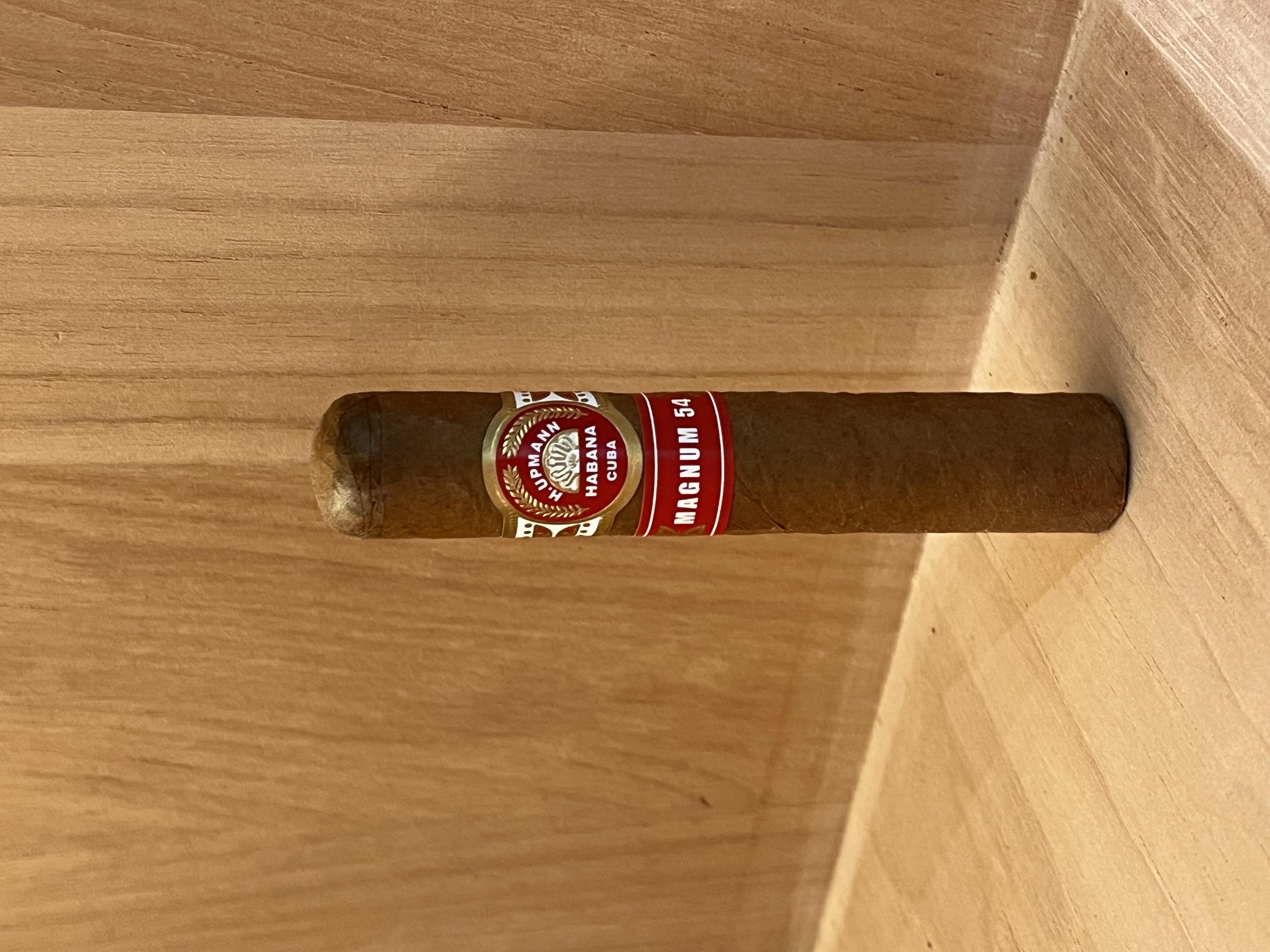 H.Upmann Magnum烏普曼瑪瑙54 （單支）