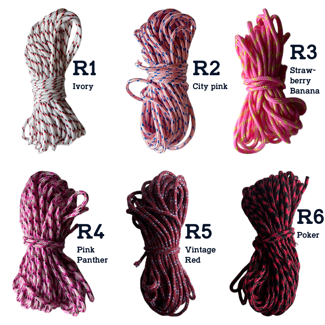 【來圖訂製】𝗗𝗜𝗙𝗙𝗘𝗥𝗘𝗡𝗧 𝗣𝗜𝗚™ OG brush with paracord fully customised by you 刻圖大豬攀岩掃