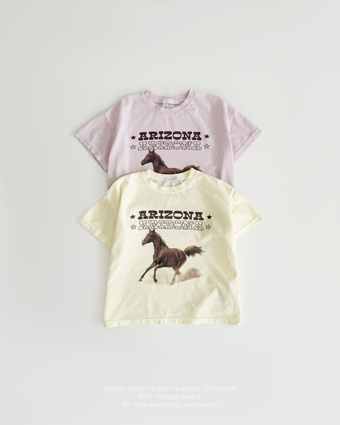 🇰🇷Urban Rabbit tee