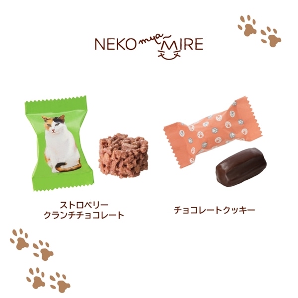 日本 Mary’s NEKO 貓貓朱古力 袋+朱古力5粒