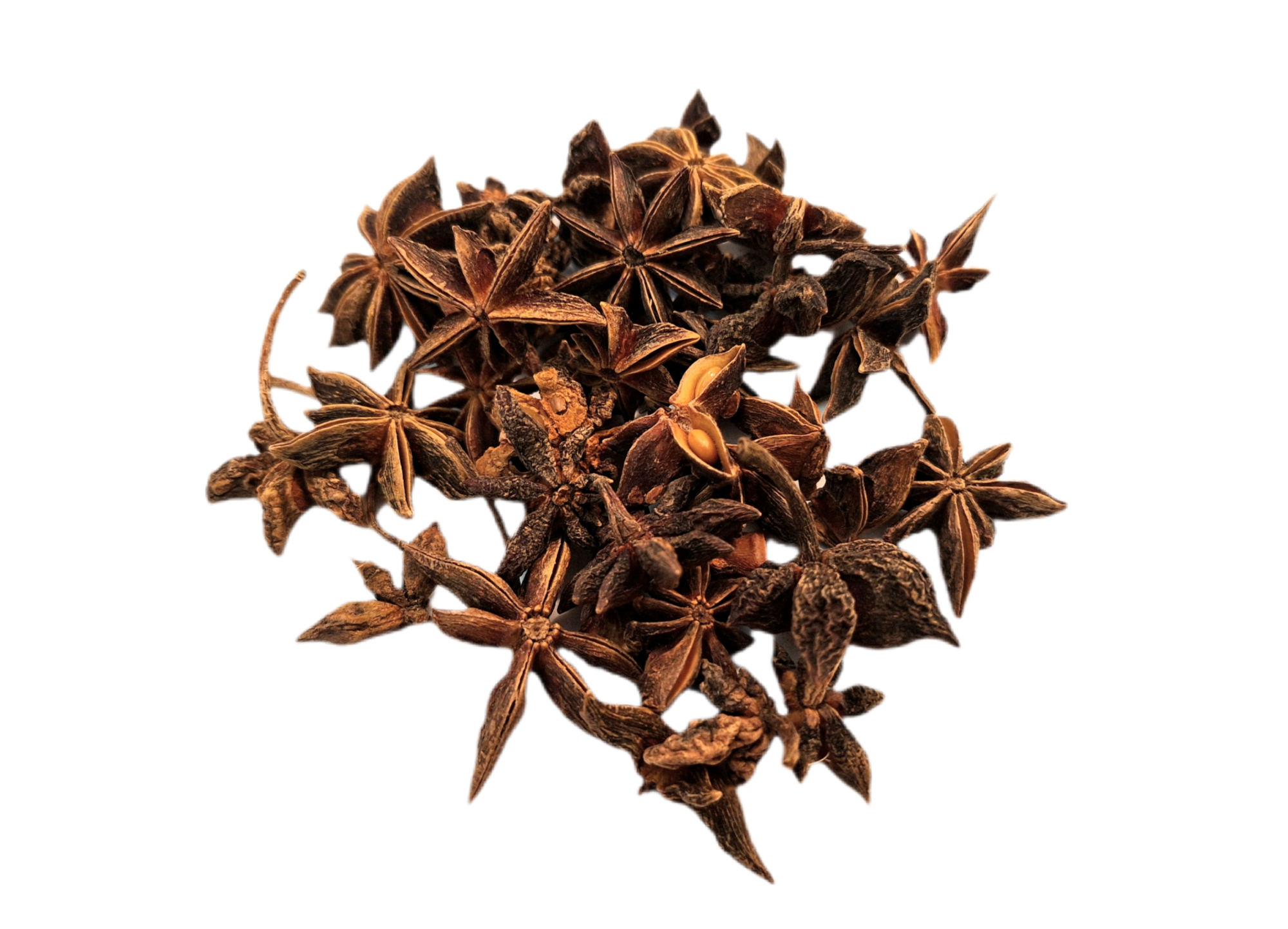 乾香高質八角，天然香料，濃烈香氣息．燉肉滷水必備 Premium Star Anise — Natural Spice with Intense Anise Aroma — Essential for Braised Dishes & Broths उत्तम स्टार ऐनीज़ — प्राकृतिक मसाला, तेज़ सौंफ जैसी सुगंध — दमपुख्त व्यंजनों और शोरबा के लिए आवश्यक