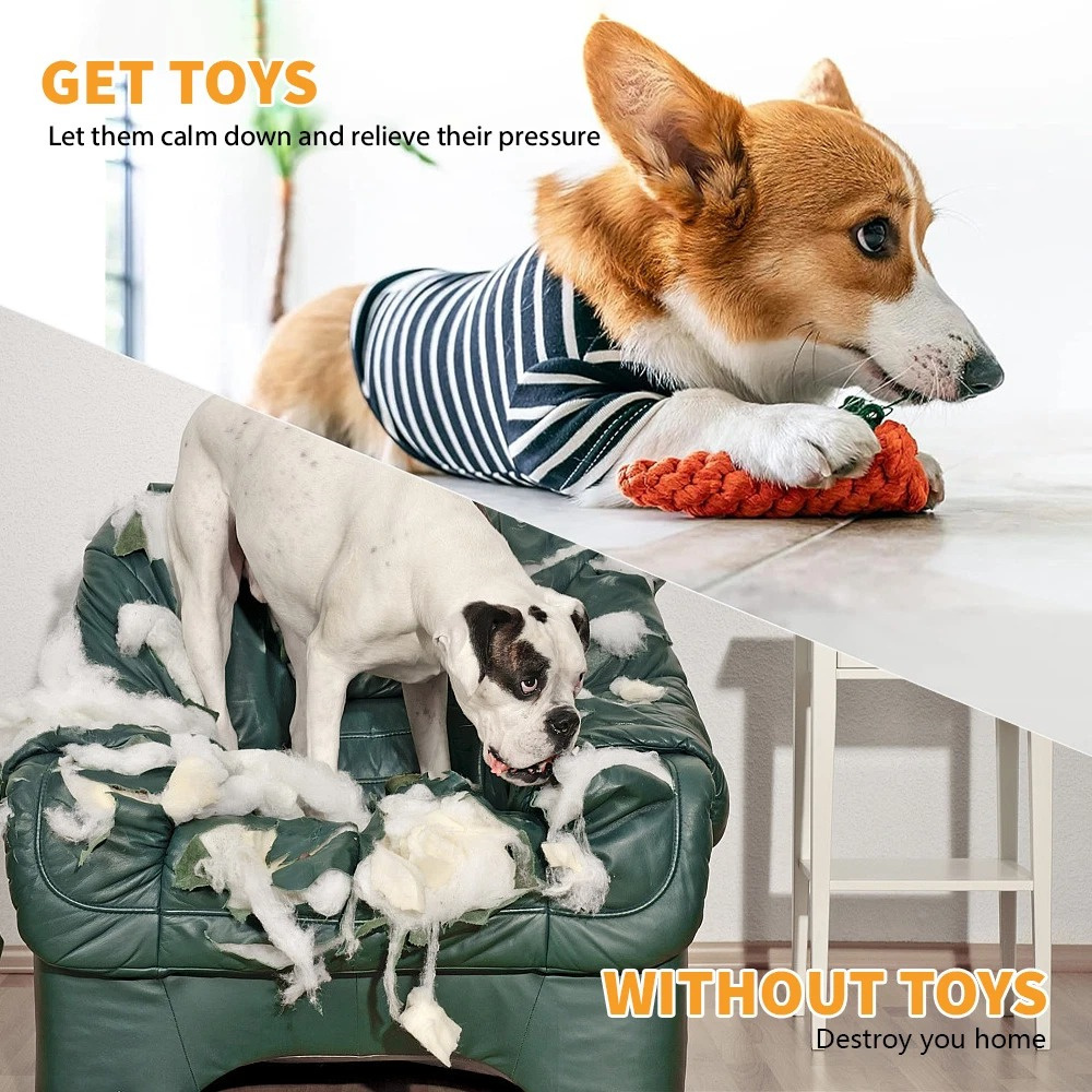 狗狗咬繩磨牙玩具 10件套 顏色款式隨機 UB0257