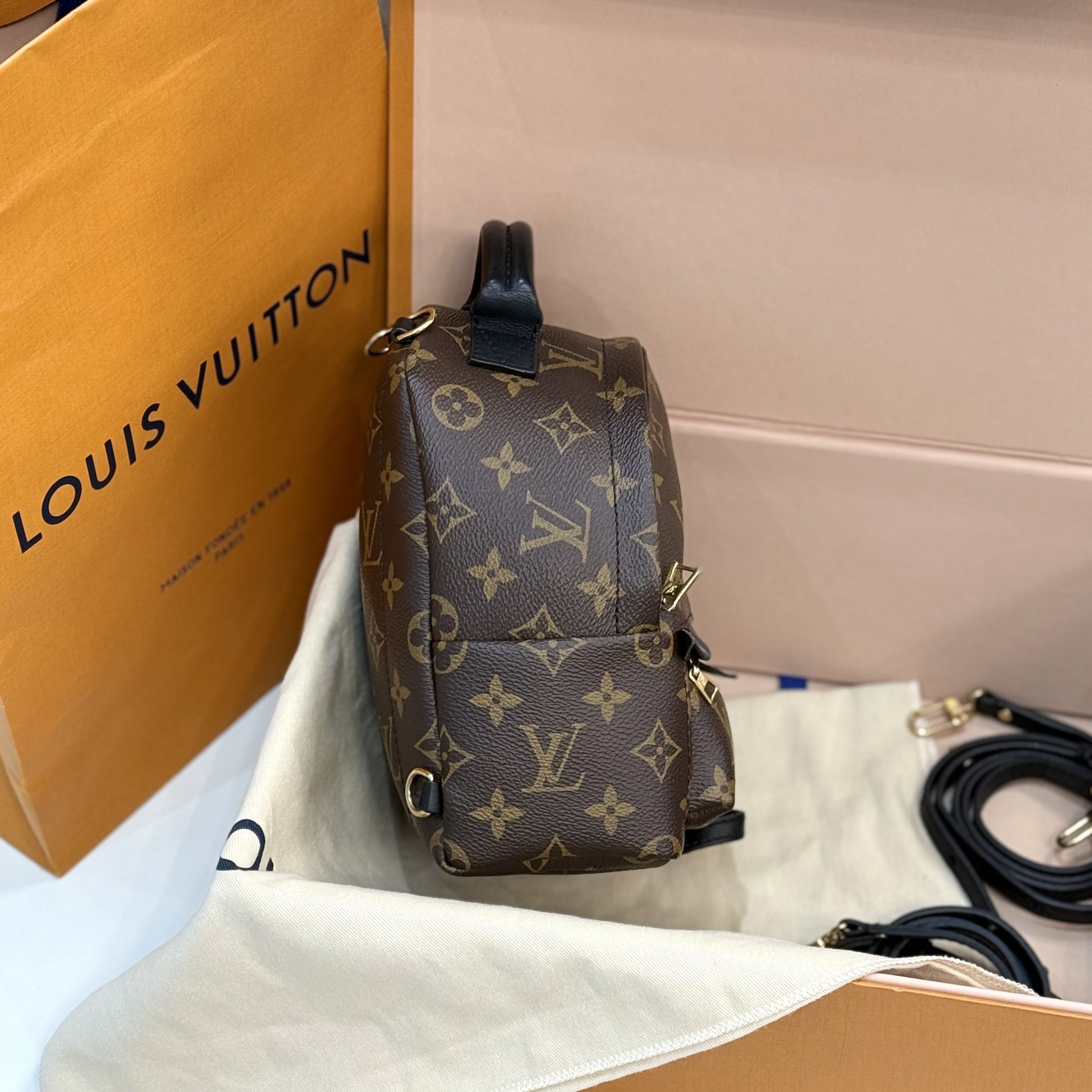 【預訂貨品】LV老花plam springs迷你書包 