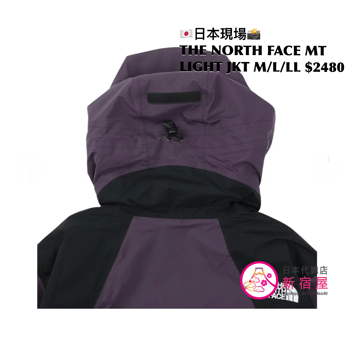 THE NORTH FACE MOUNTAIN LIGHT JACKET