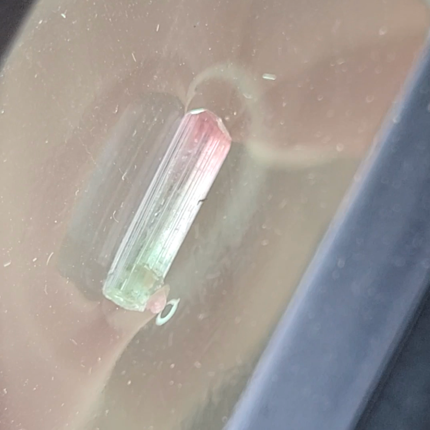 Bi-color tourmaline specimen from Afghanistan - TR48