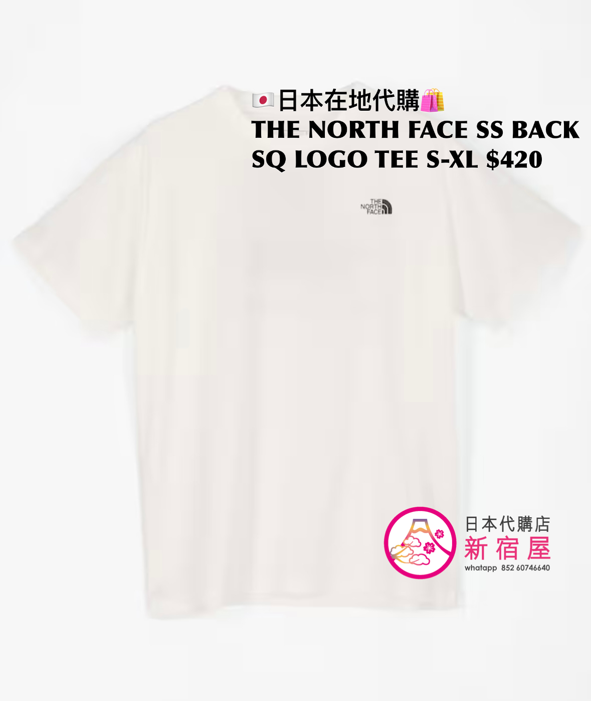 THE NORTH FACE SS BACK SQUARE LOGO T-SHIRT