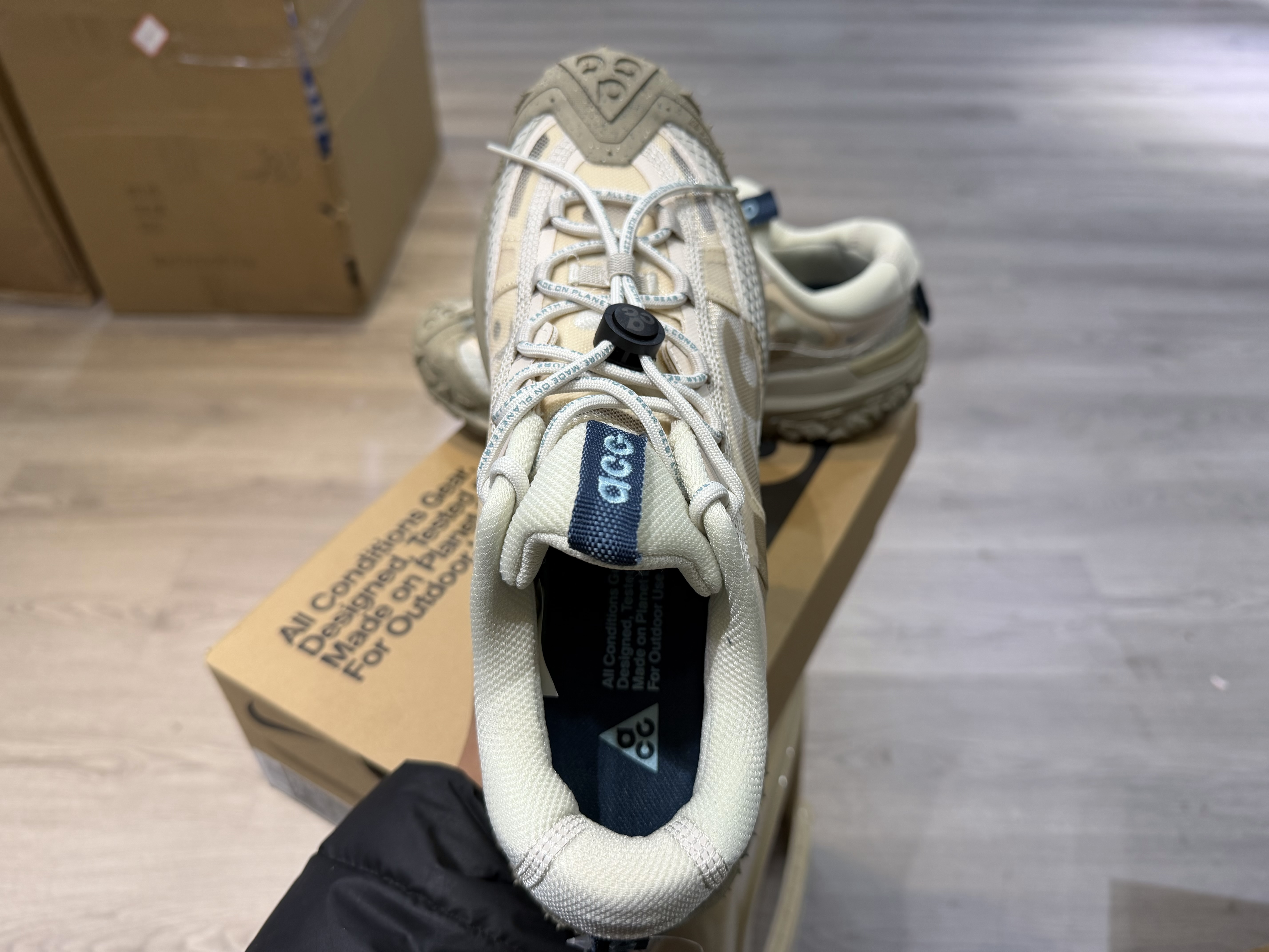 Nike ACG Mountain Fly 2 Low