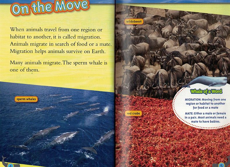 National Geographic Kids Level 3 國家地理分級讀物 第三季 L3 兒童百科書｜22 books｜點讀版