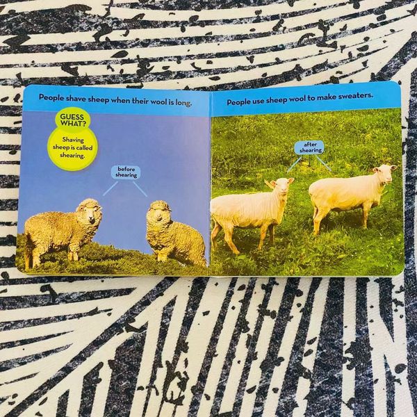 National Geographic Kids Look and Learn 國家地理幼幼探險家 啟蒙百科動物紙板書｜12 books｜點讀版