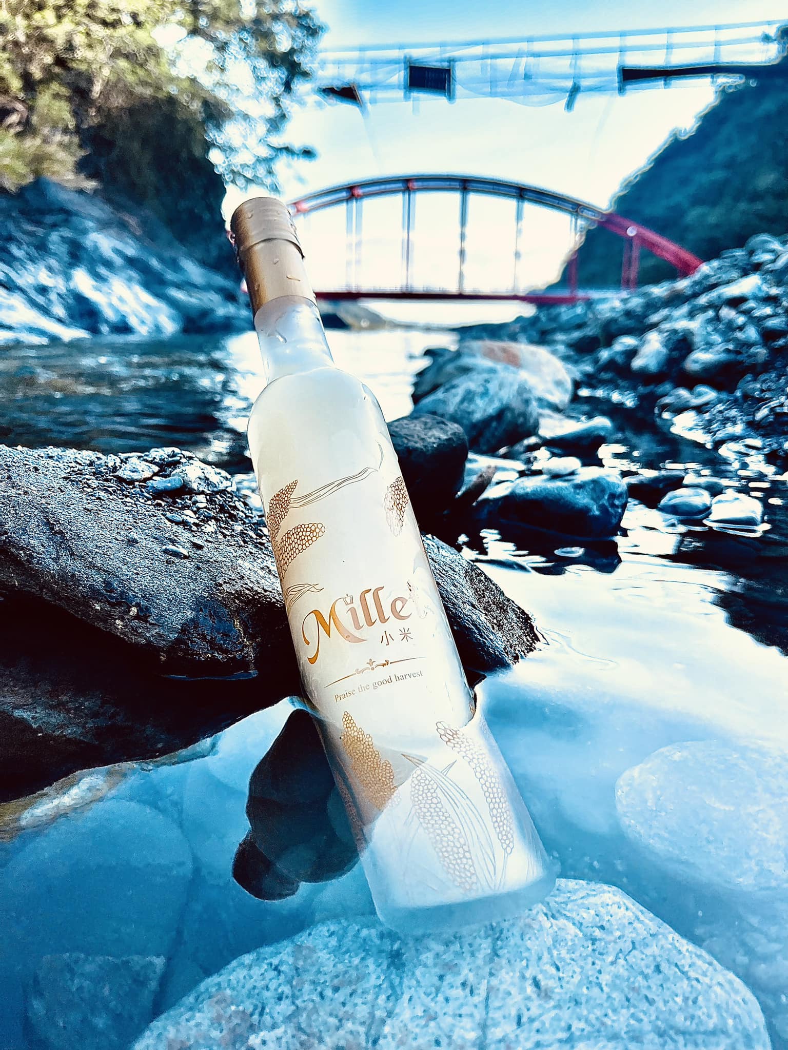 Classic Series - Millet 經典系列 - 小米酒
