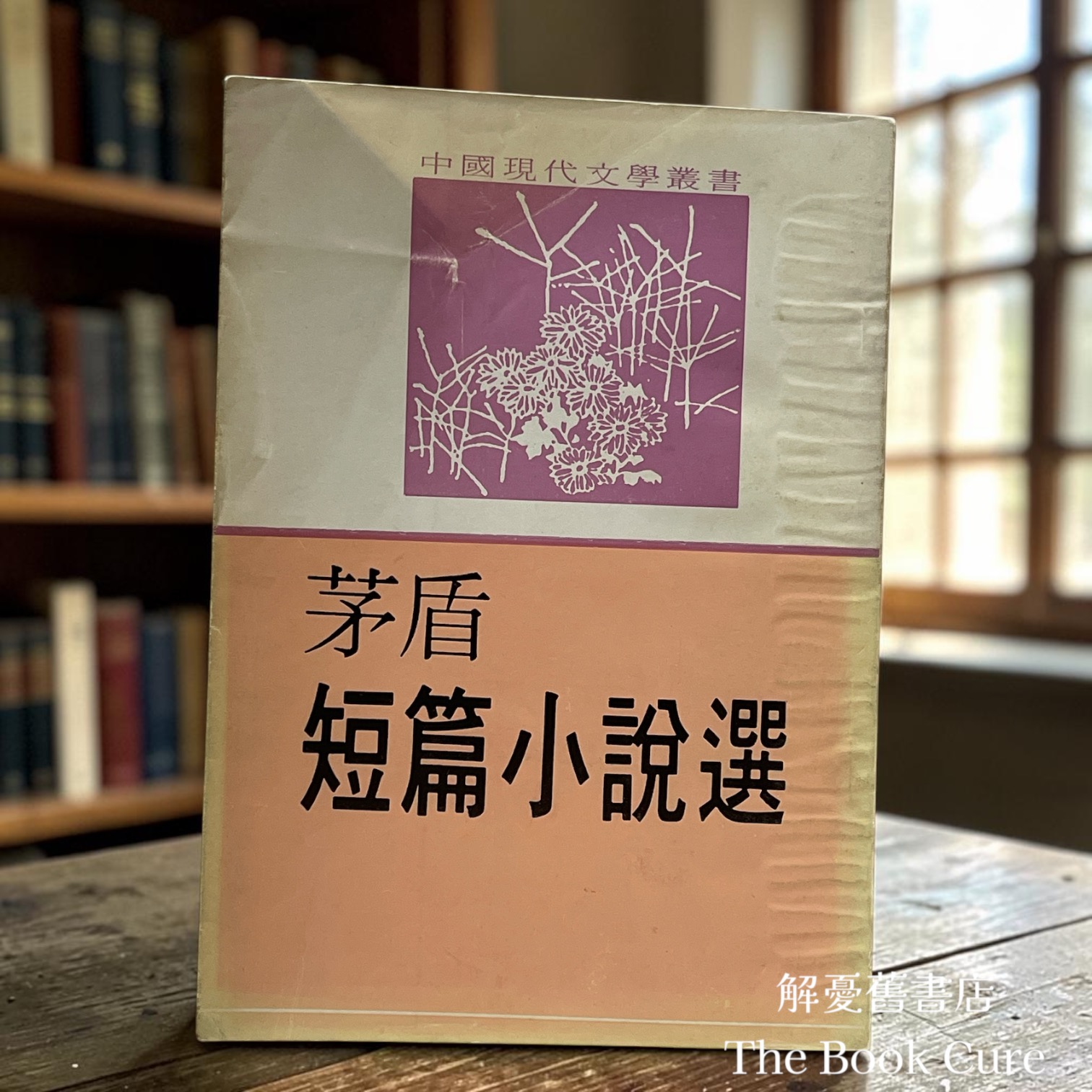 茅盾短篇小說選 / 茅盾 著