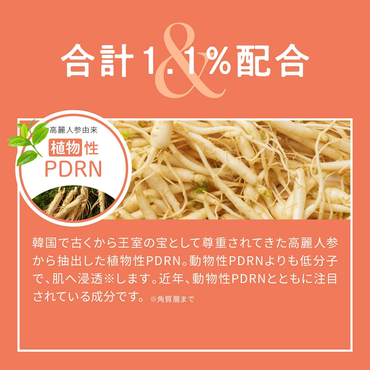 【日本製】ereru 艾蕾露雙重 PDRN 光耀彈潤緊緻透亮精華 30ml｜抗老緊緻、縮毛孔、改善膚色不均 