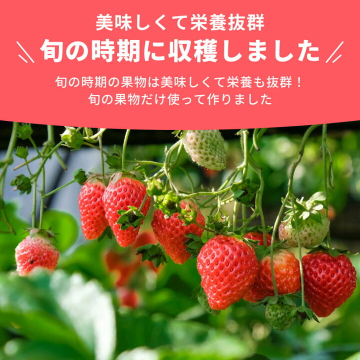 部分現貨🇯🇵預訂 日本直送🇯🇵🔥大人氣五種口味幼兒冷凍切片水果乾9m+