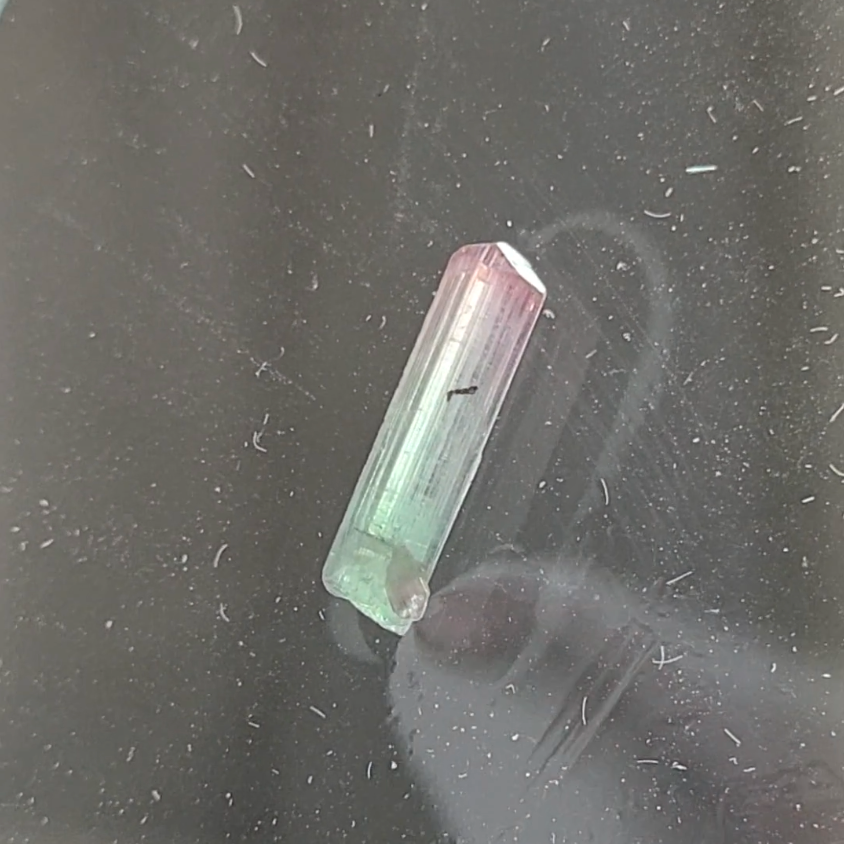 Bi-color tourmaline specimen from Afghanistan - TR48