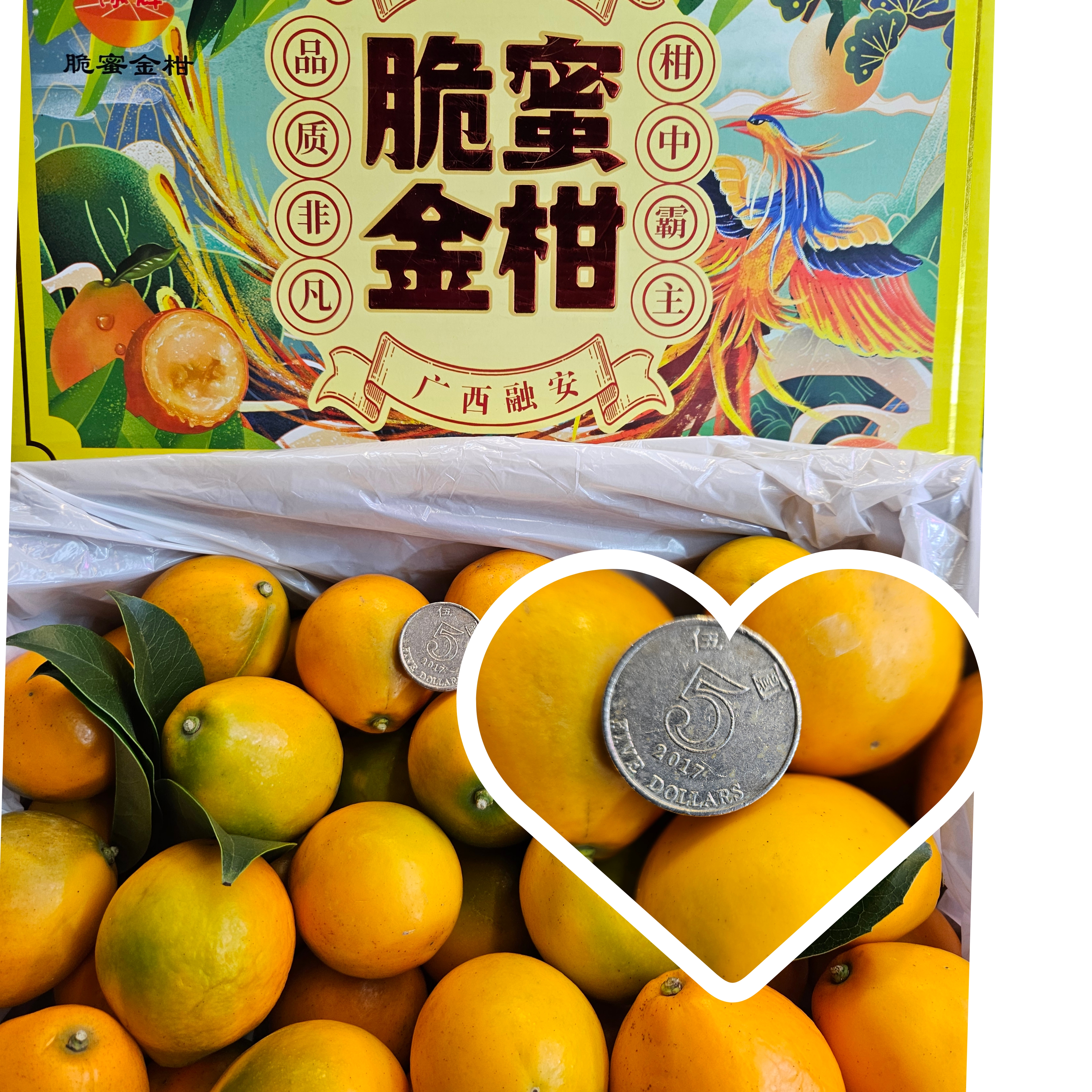 脆蜜金桔（特大装）每磅