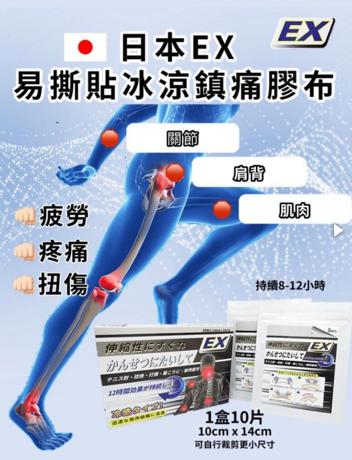 龍之元 - 日本EX易撕貼冰涼鎮痛膠布 (10片)