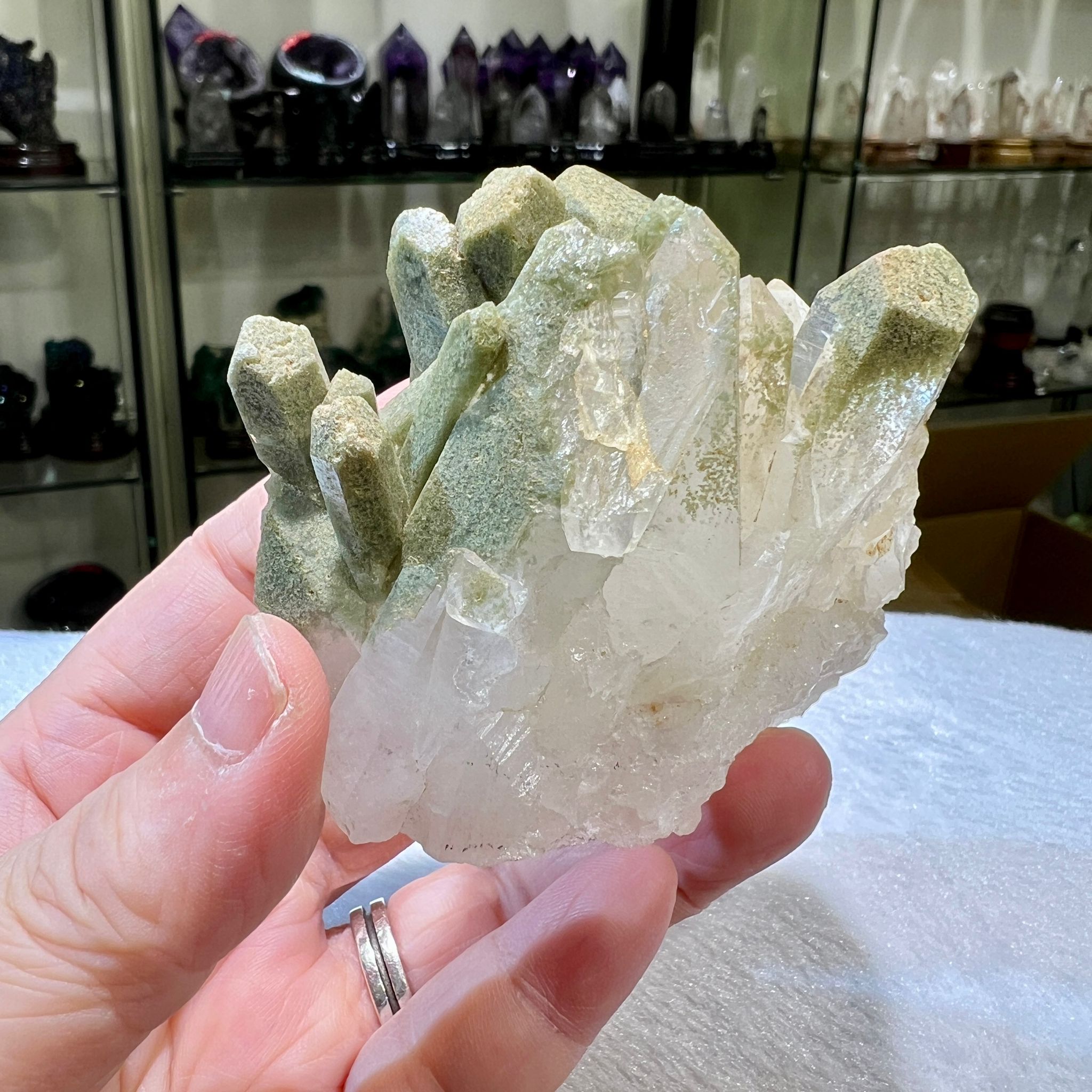 綠幽靈簇 (連座)