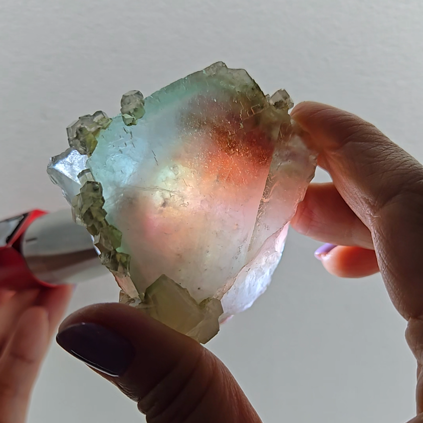 Red phantom fluorite with columnar UV calcite - FL232