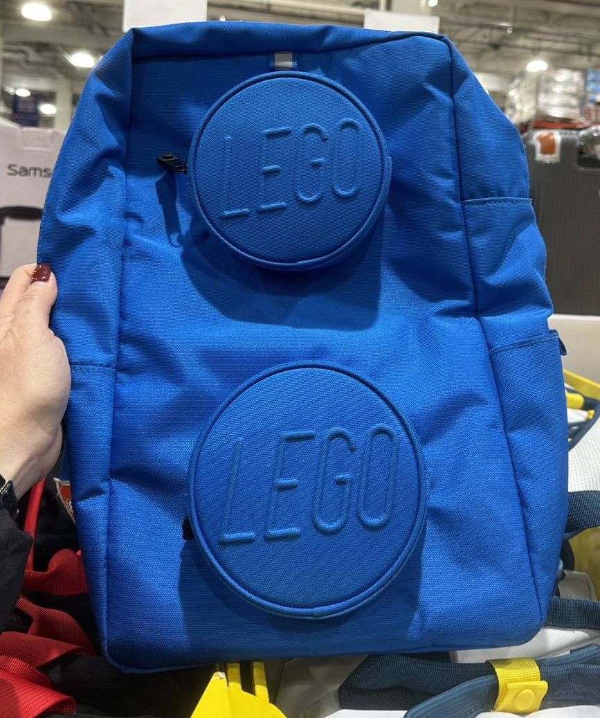 LEGO 2x2 立體積木背囊 - 04260256