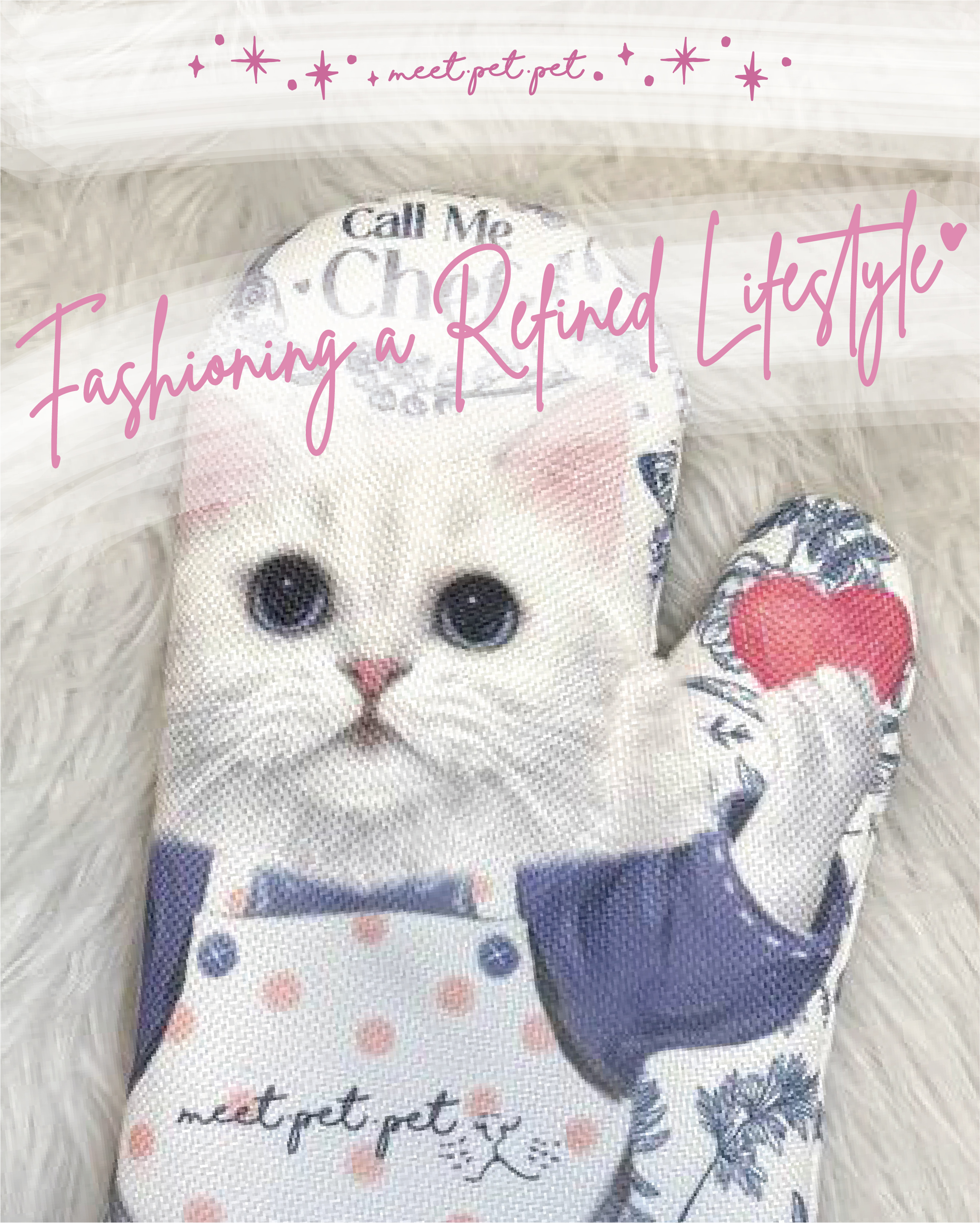 ⋆ 金吉拉 ⋆ 隔熱手套 ⋆ Chinchilla ⋆