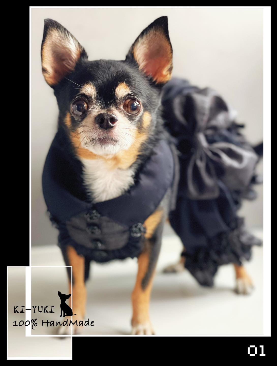 原創設計手作 寵物胸背帶 暗黑主題造型胸背帶