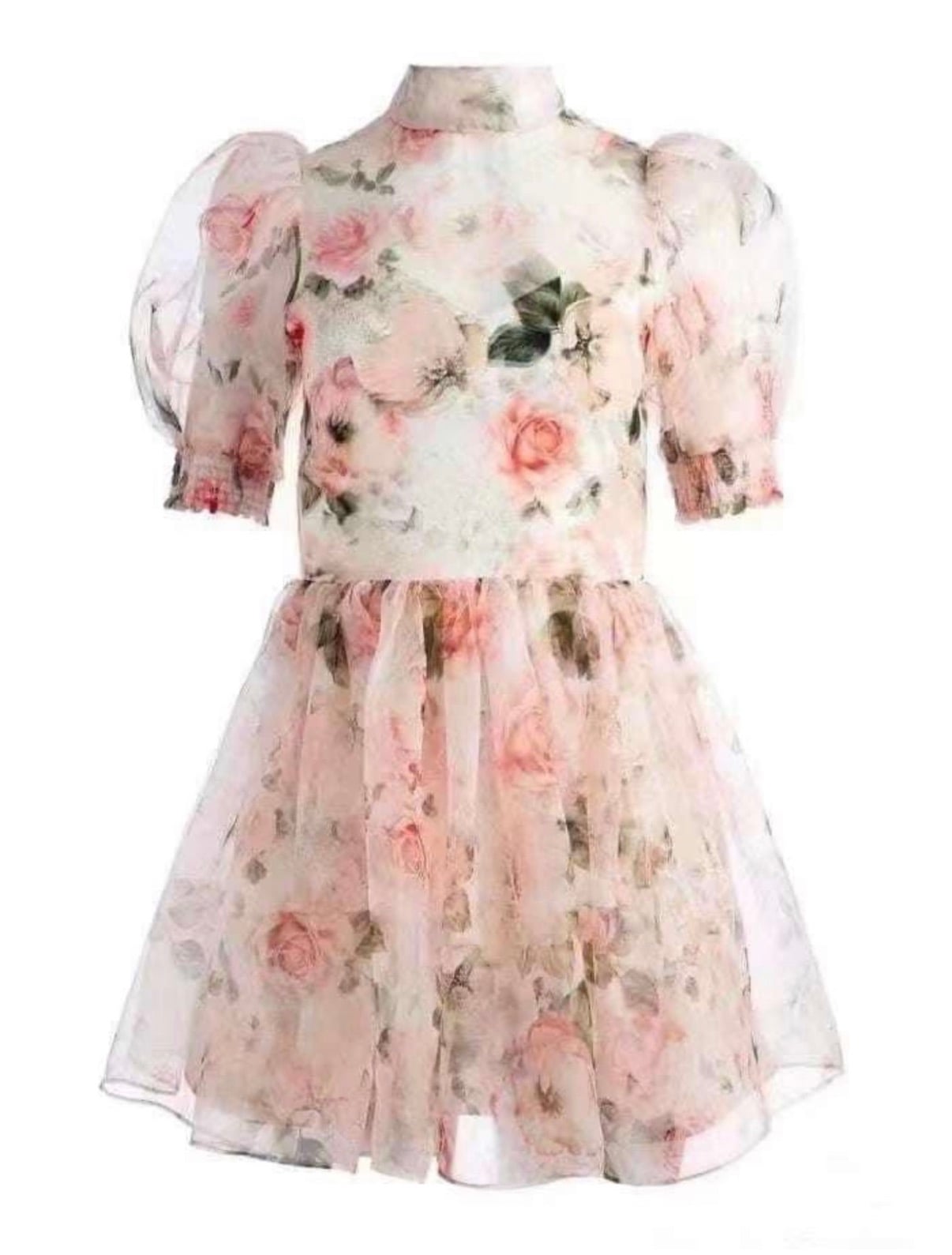 💋Alice Olivia 💄浪漫玫瑰花🌹裙