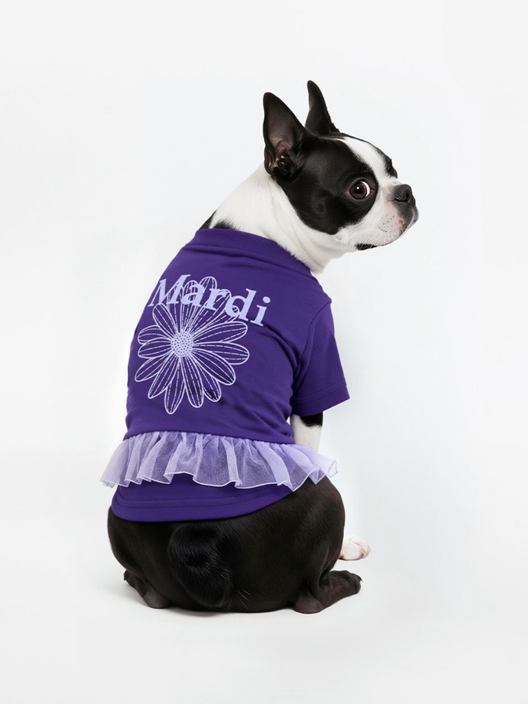 🇰🇷韓國Mardi Mercredi狗仔Tee