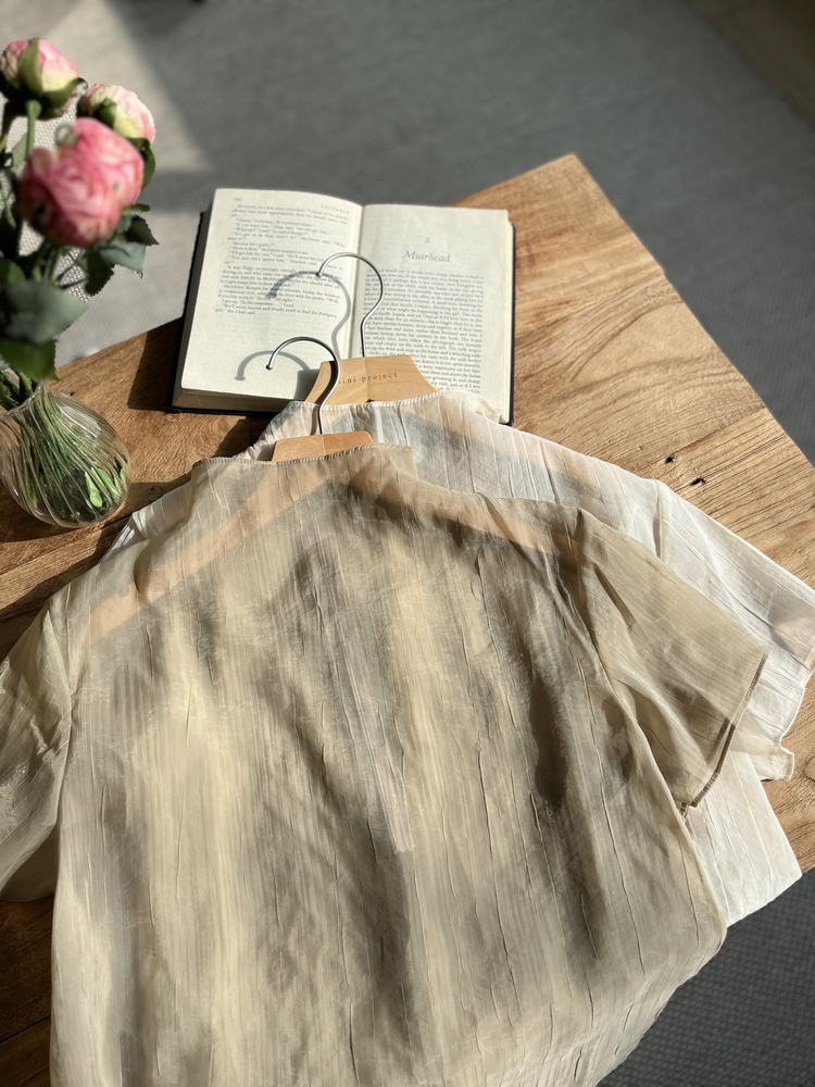 Airy Sheer Crinkle Top (Brown)