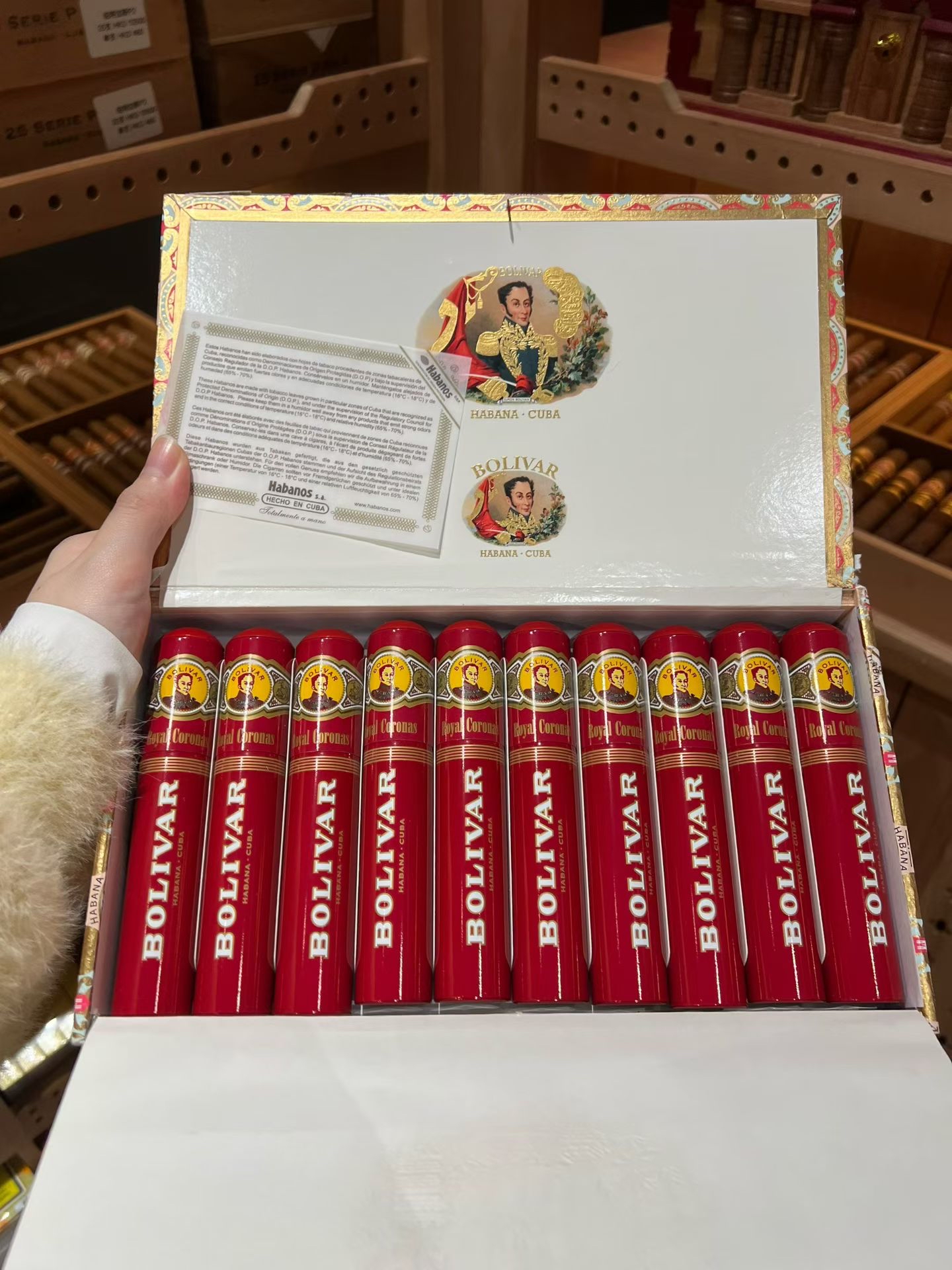 Bolivar玻利瓦爾皇家皇冠（10支）