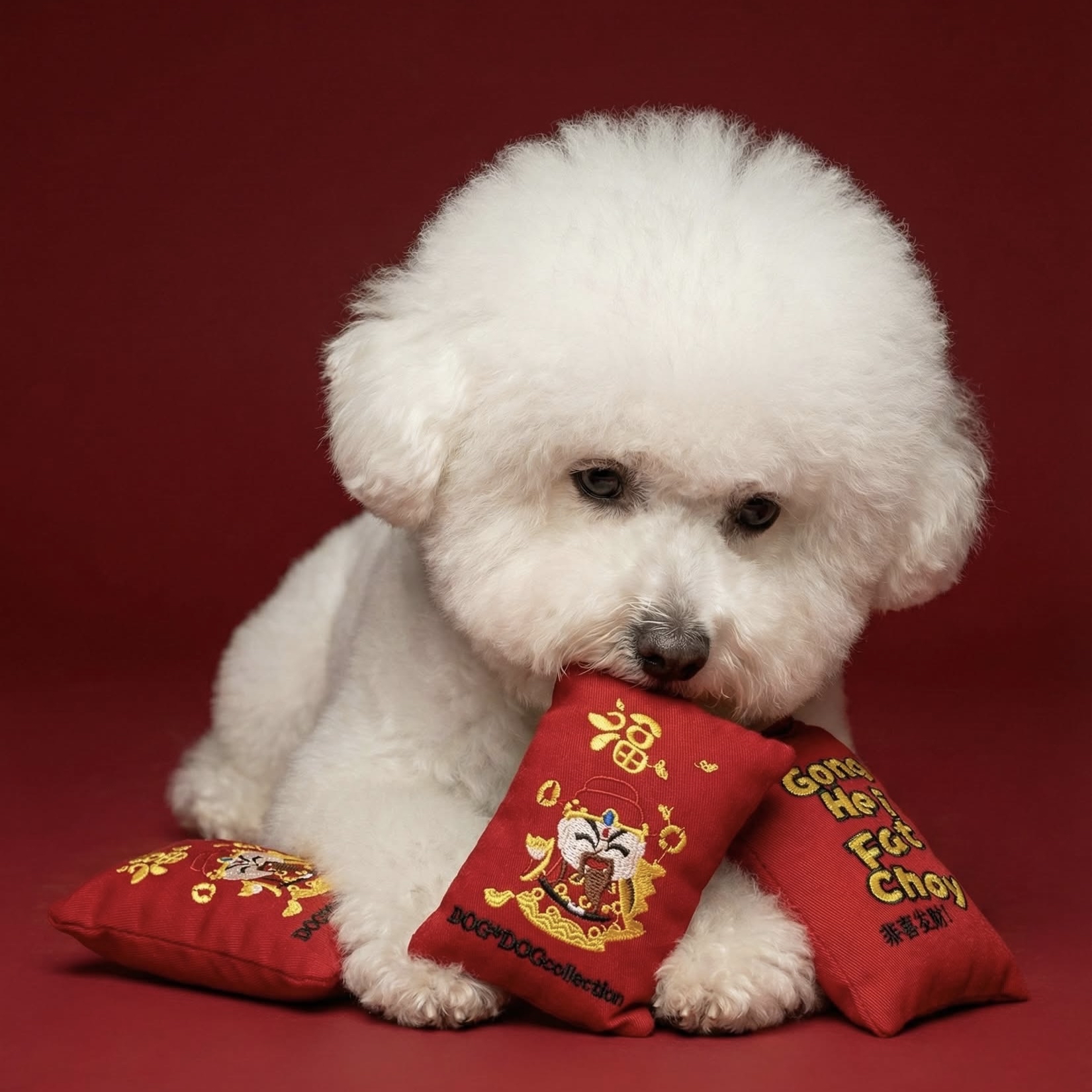 Red Packet - L 利事封 -大 Pet Toy 寵物玩具 Z001