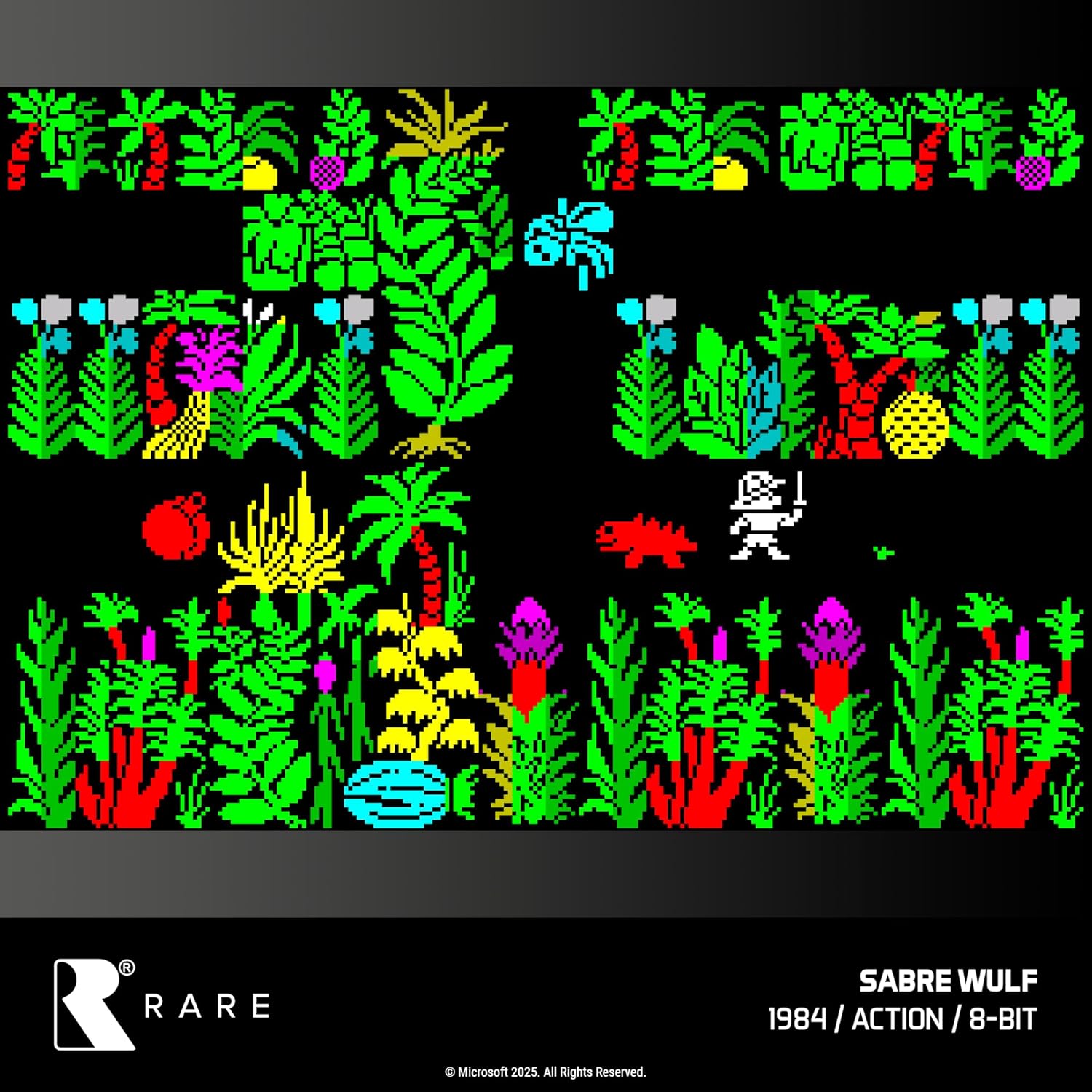 Evercade Rare Collection 1 (R48) RETRO-0067