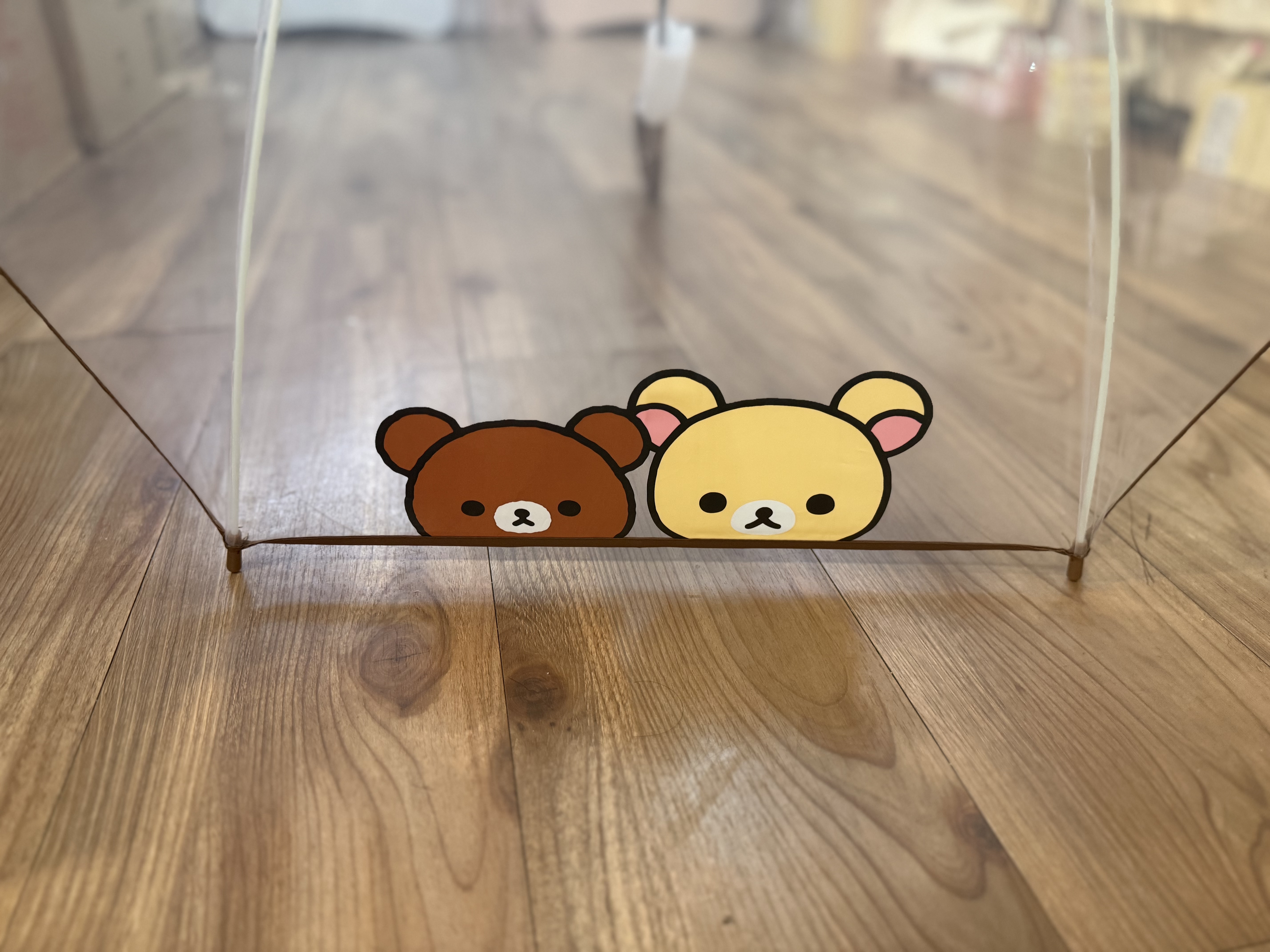 《現貨》全新Rilakkuma韓國專店限定 長身透明遮