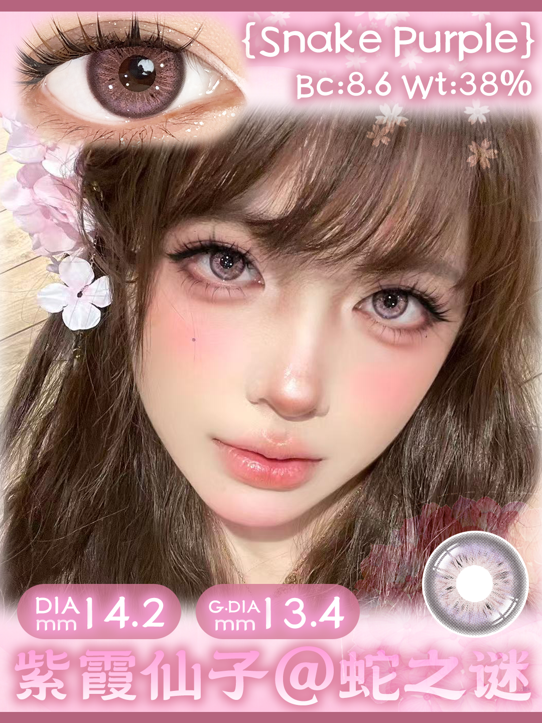 Hancon 日拋 虎之眼/蛇之謎