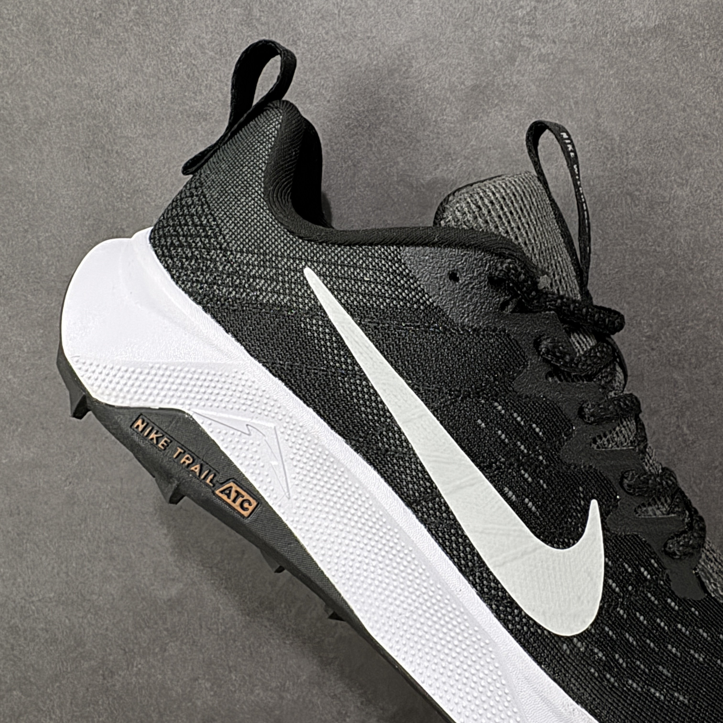 Nike Wildhorse 10 FV2338-001