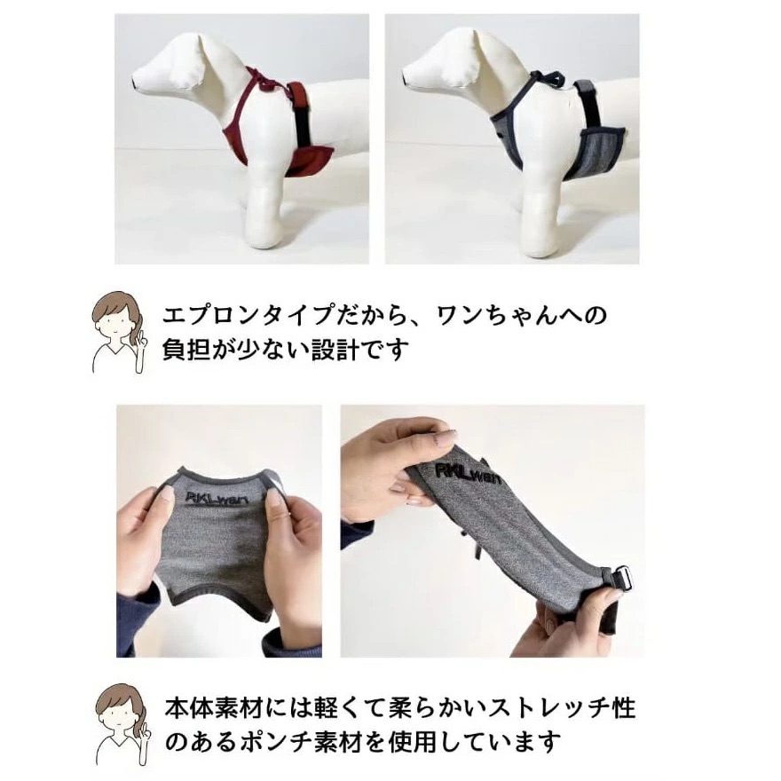 日本 RKLwan 狗狗 促進血液循環 延長壽命護理輔助用品 SPAORE成分 平行進口