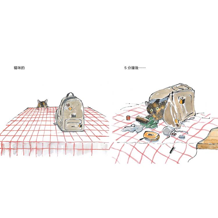 貓咪的5分鐘
